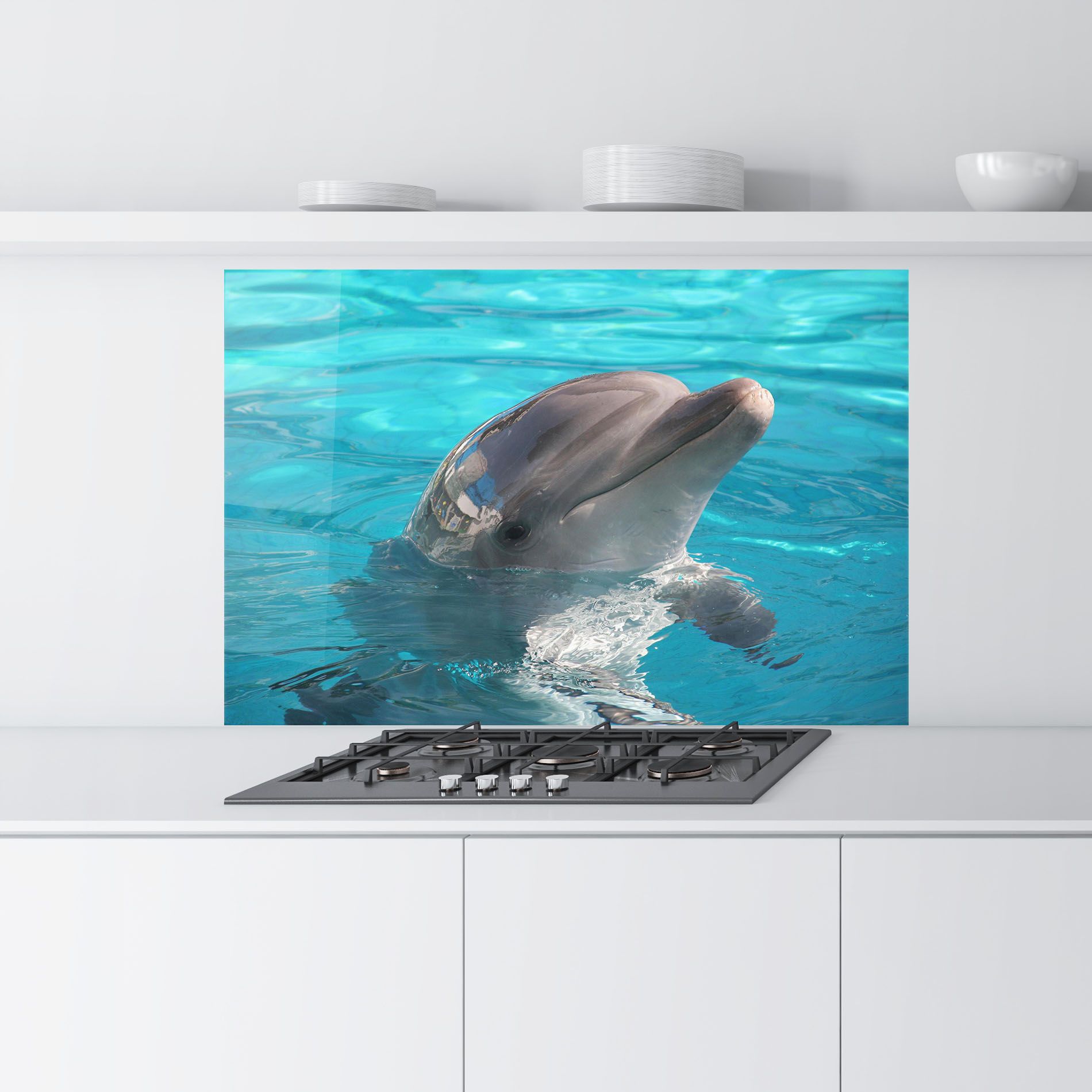 Dolphin  Poses mockup 9