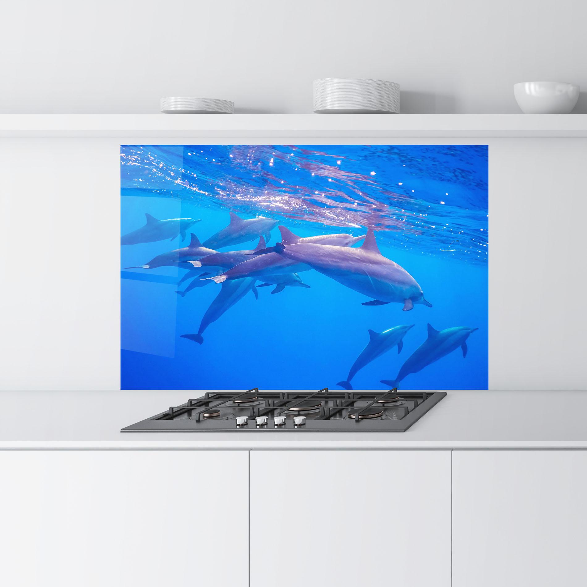 Küchenrückwand Glas Dolphin Family mockup 9