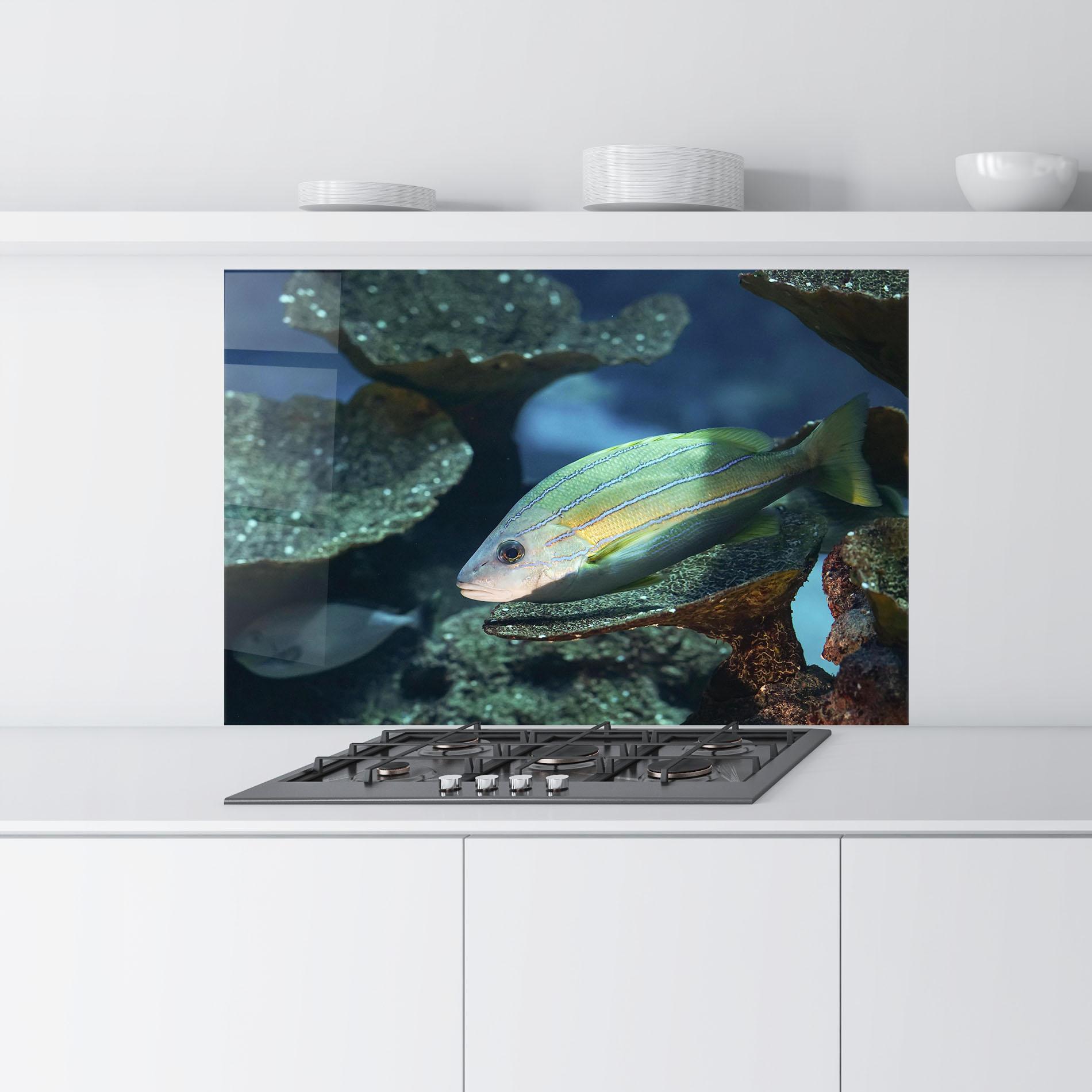 Küchenrückwand Glas Green Gold Fish mockup 9