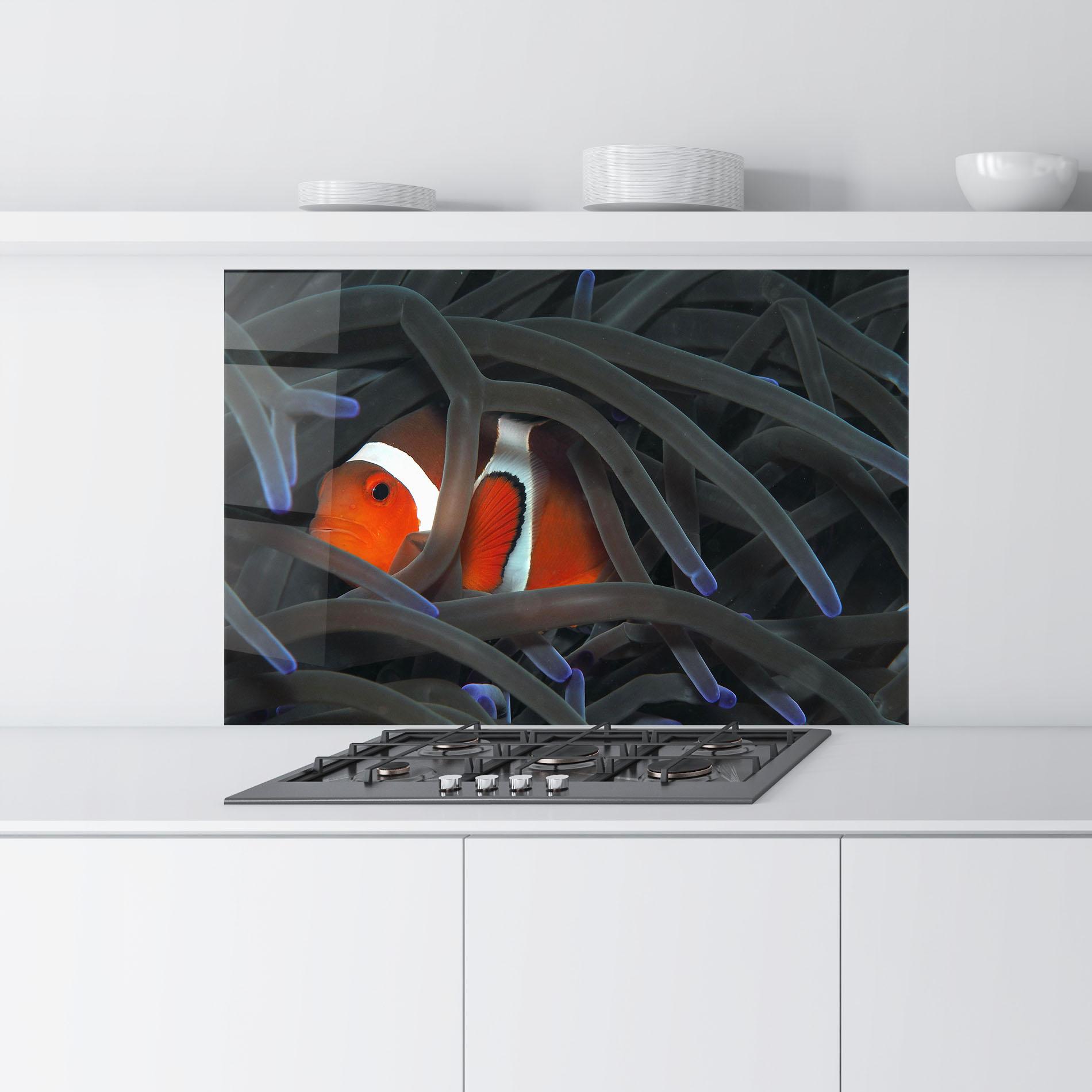 Küchenrückwand Glas Nemo Hiding mockup 9
