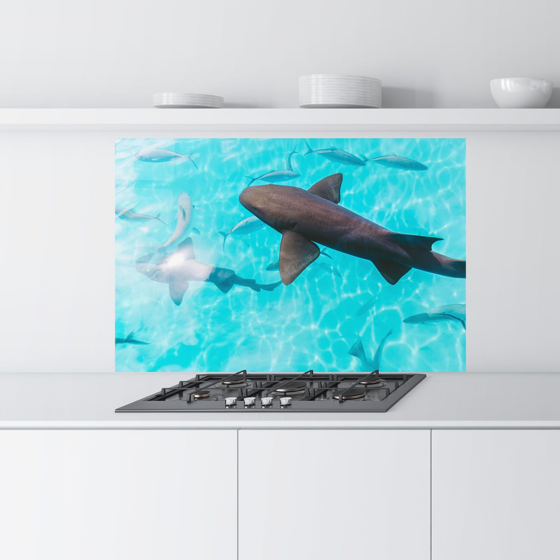 Pretty Shark mockup 9