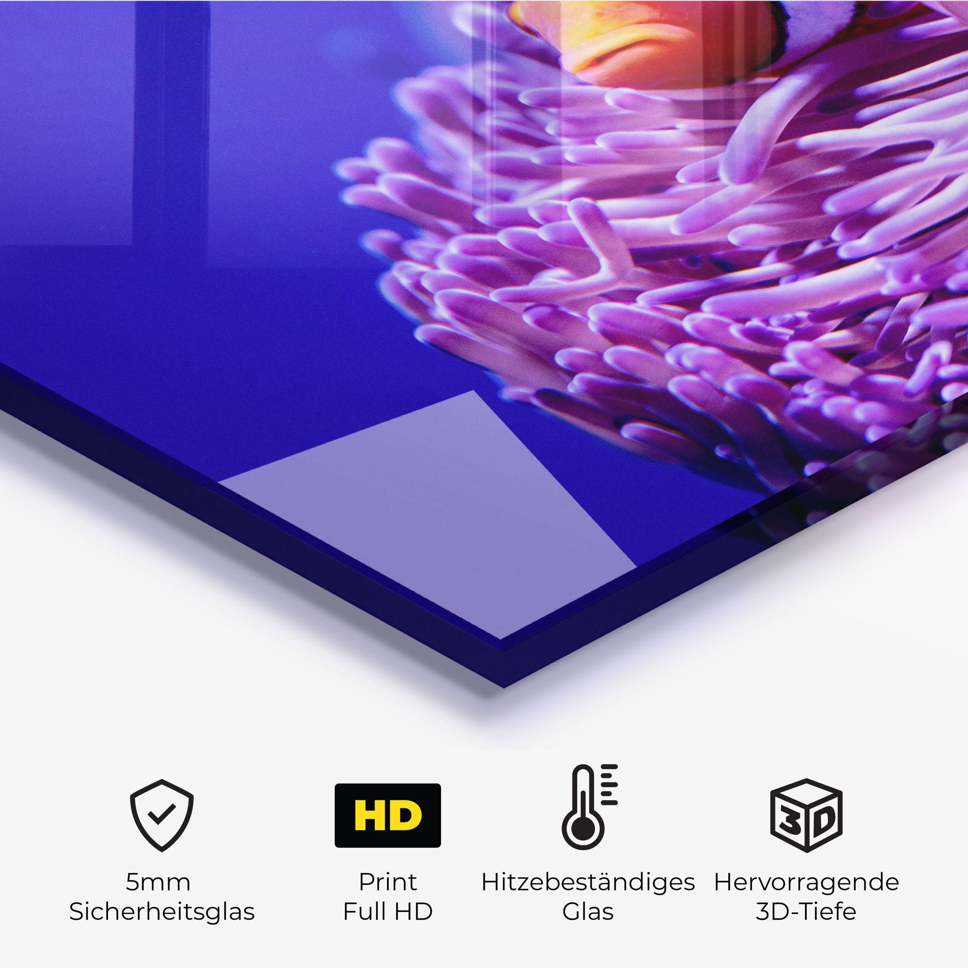 Küchenrückwand Glas Angry Nemo mockup 2