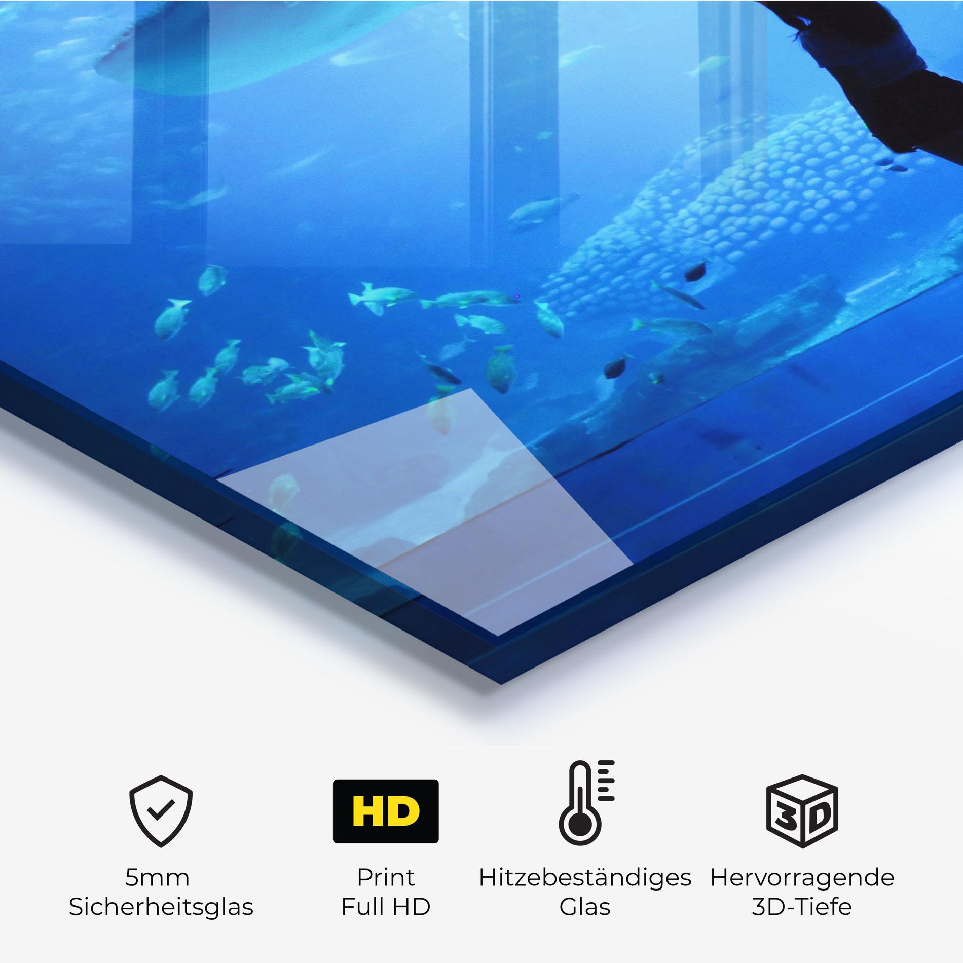 Küchenrückwand Glas Aquarium Girl mockup 2