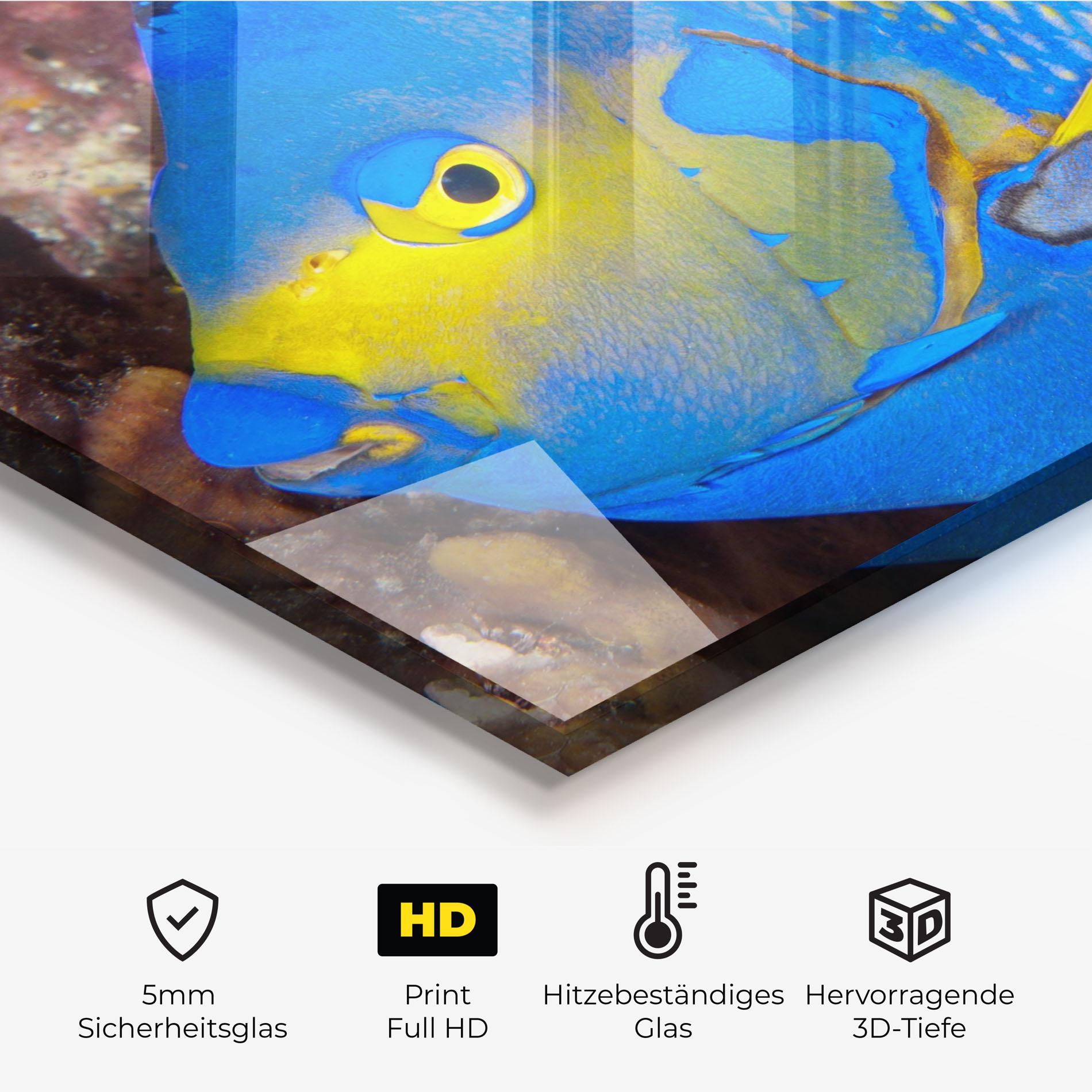 Blue Yellow Fish mockup 2