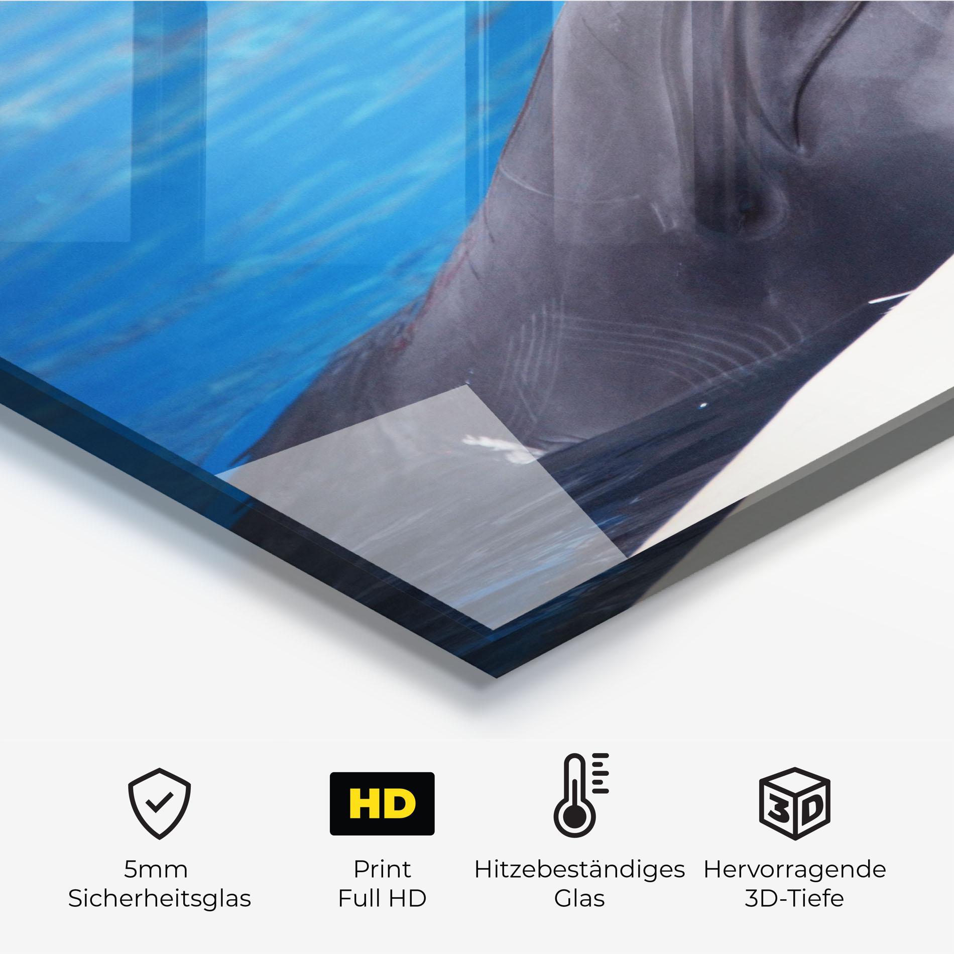 Küchenrückwand Glas Cute Dolphin mockup 2