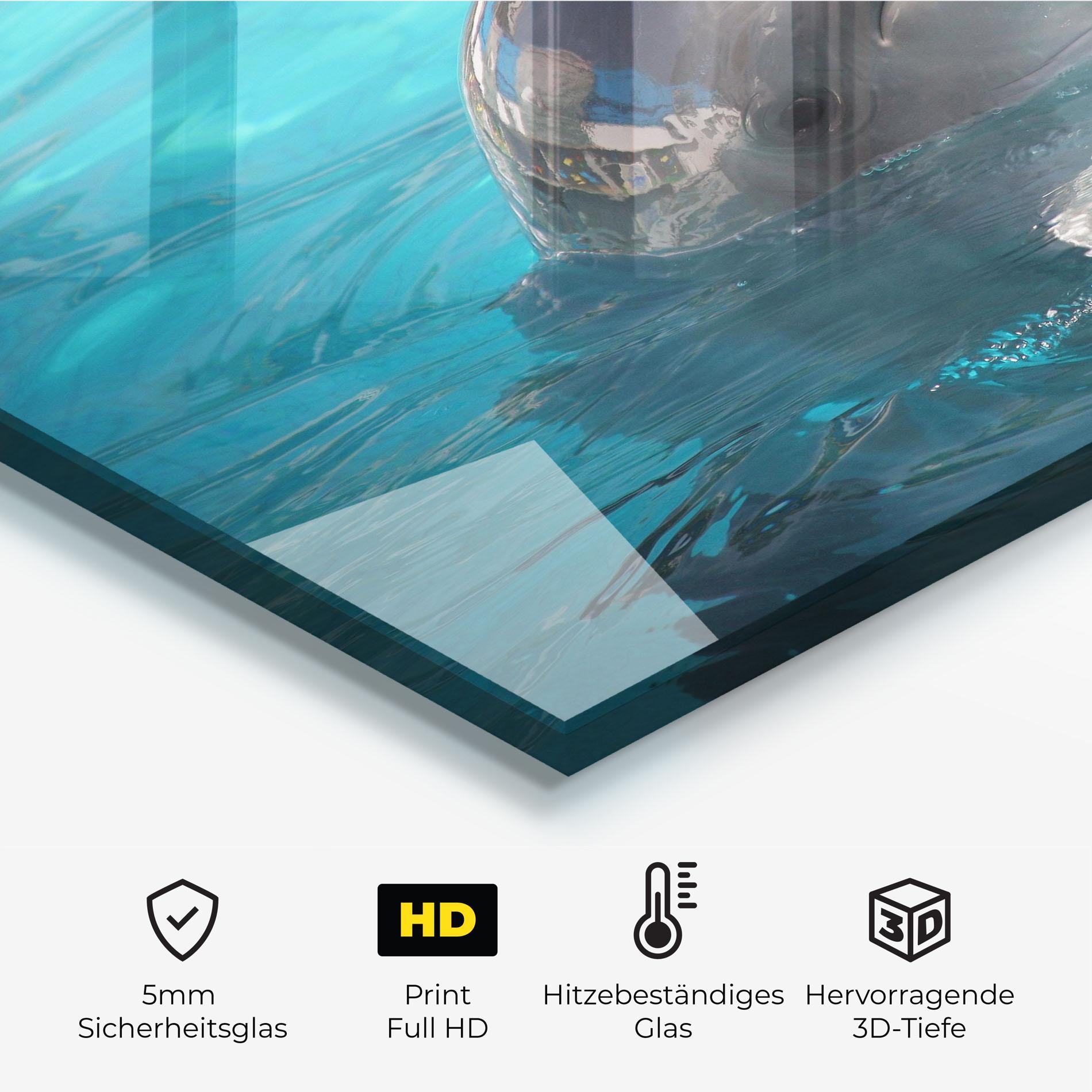 Küchenrückwand Glas Dolphin Poses mockup 2
