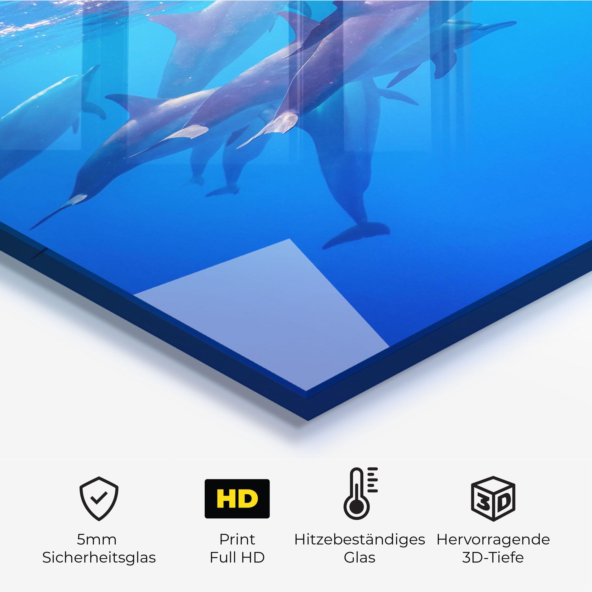 Küchenrückwand Glas Dolphin Family mockup 2