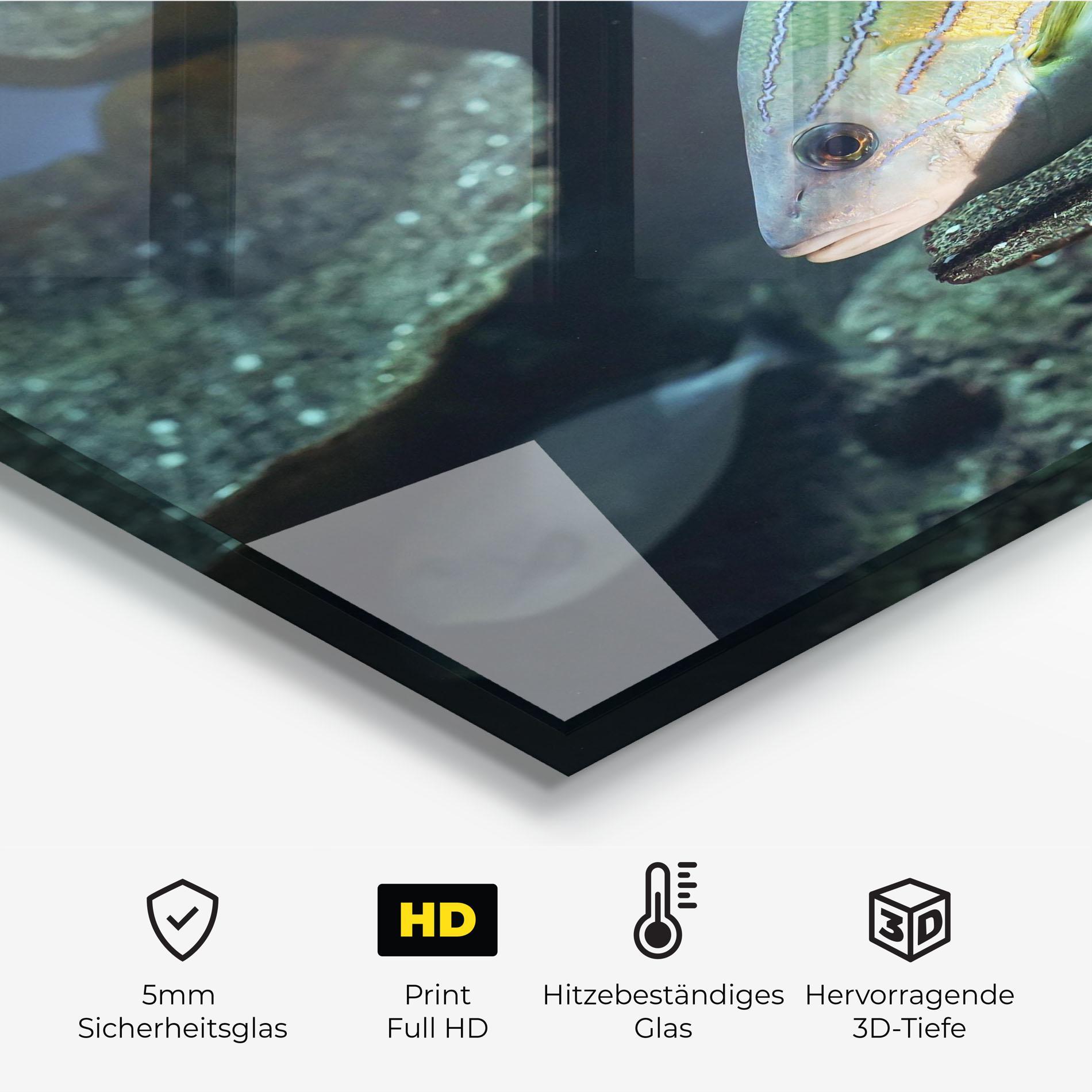 Küchenrückwand Glas Green Gold Fish mockup 2