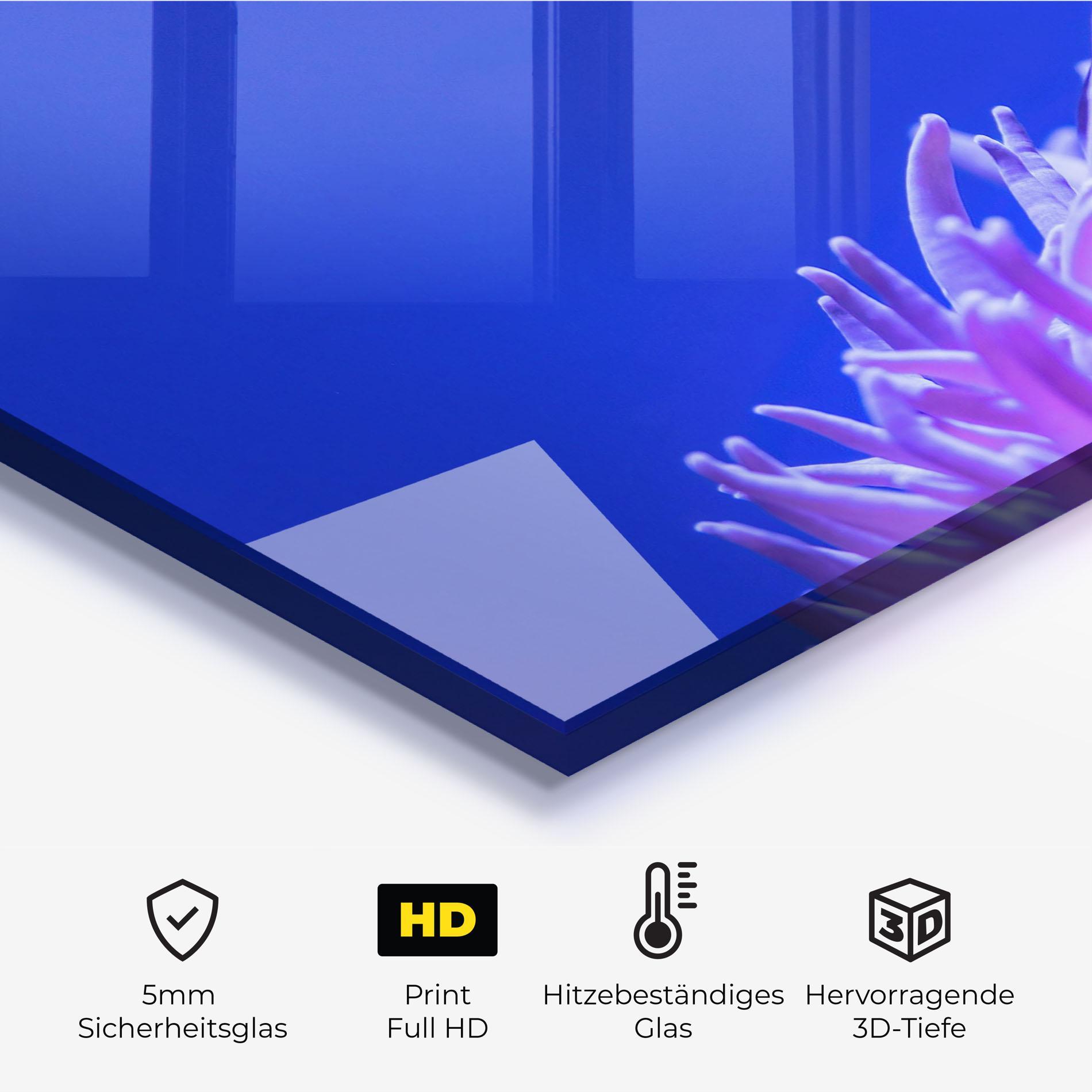 Küchenrückwand Glas Hungry Nemo mockup 2