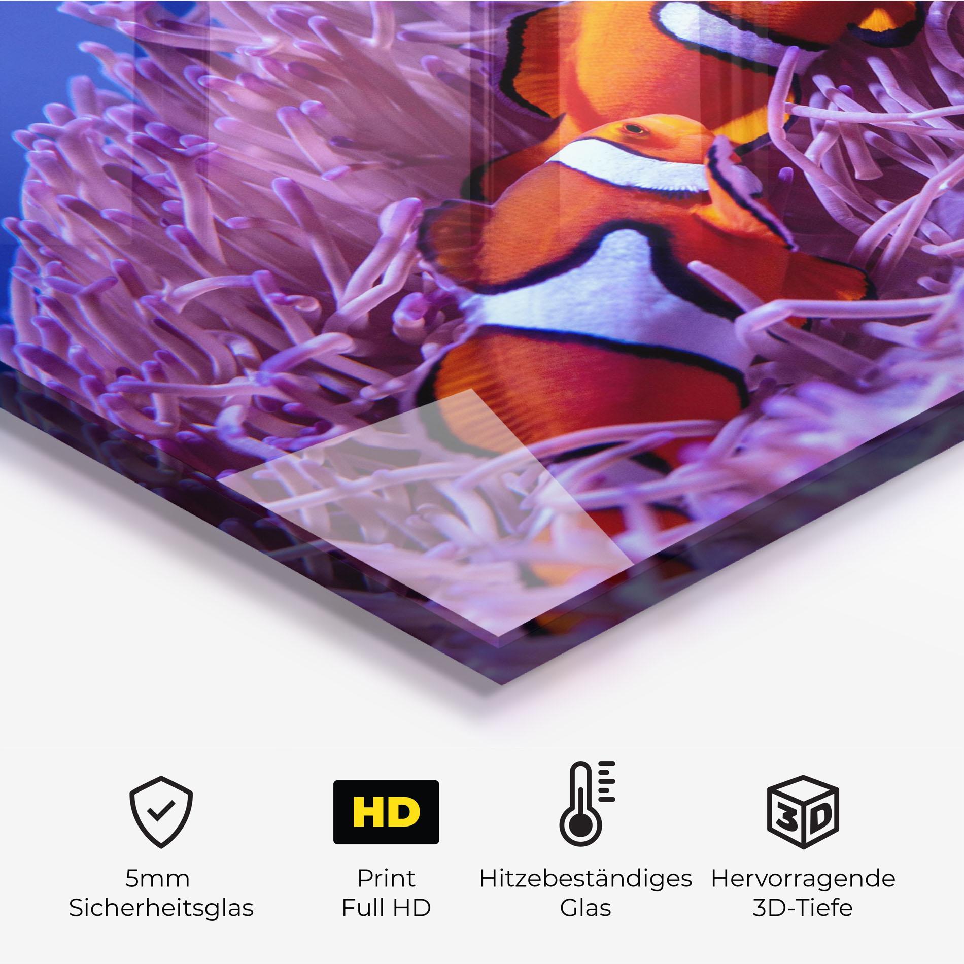 Küchenrückwand Glas Nemo Family mockup 2