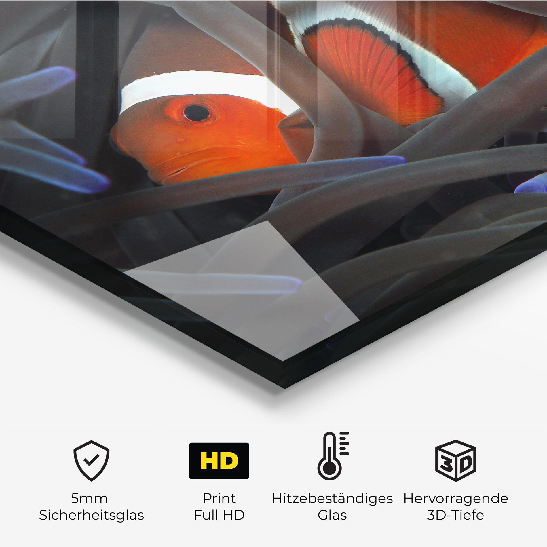 Küchenrückwand Glas Nemo Hiding mockup 2