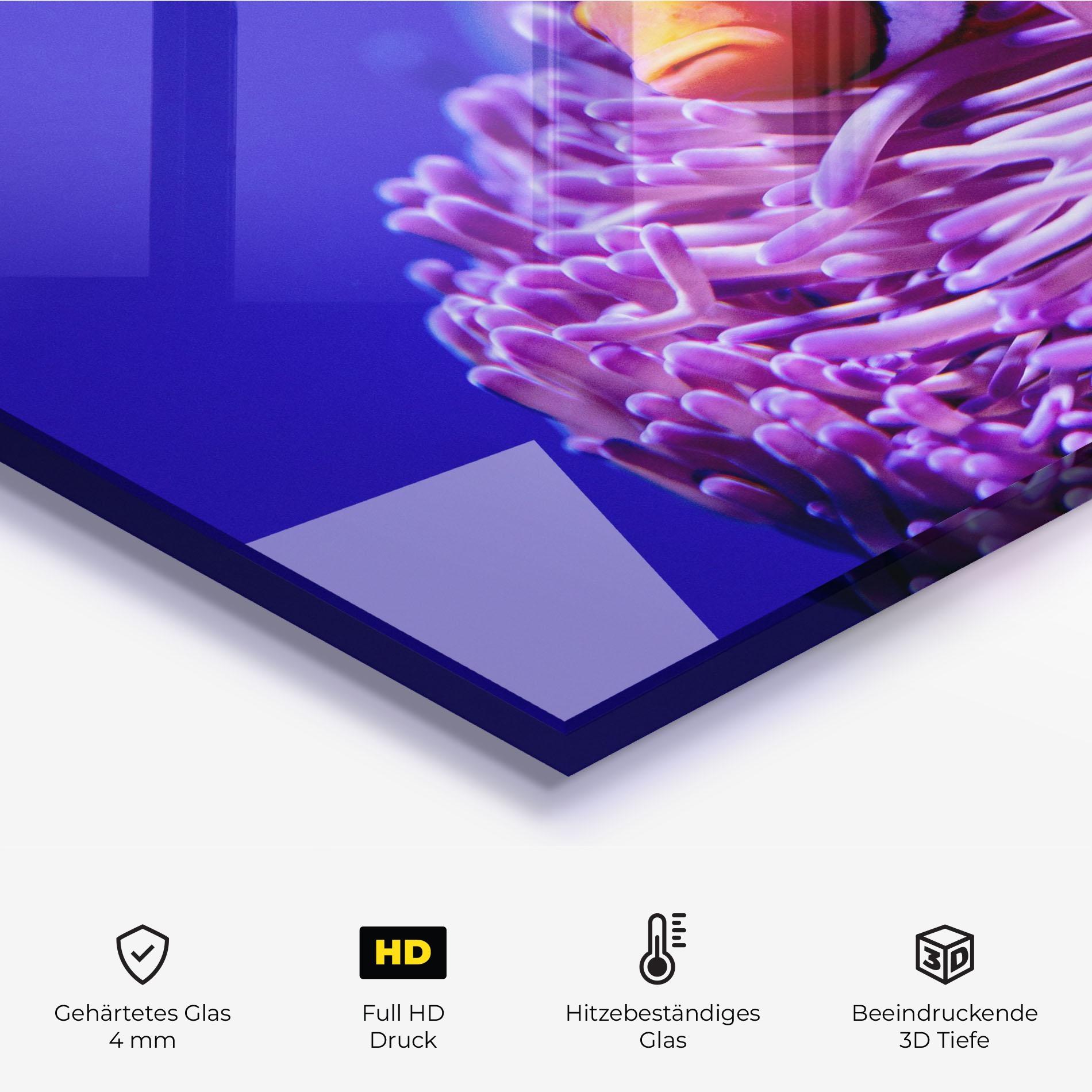 Küchenrückwand Glas Angry Nemo mockup 2