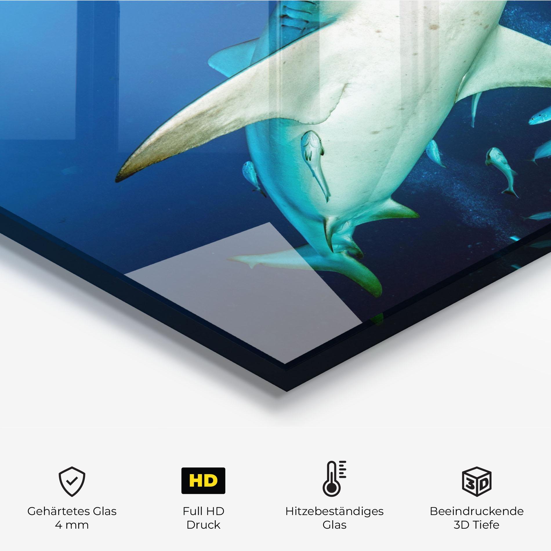 Küchenrückwand Glas Bull Shark mockup 2