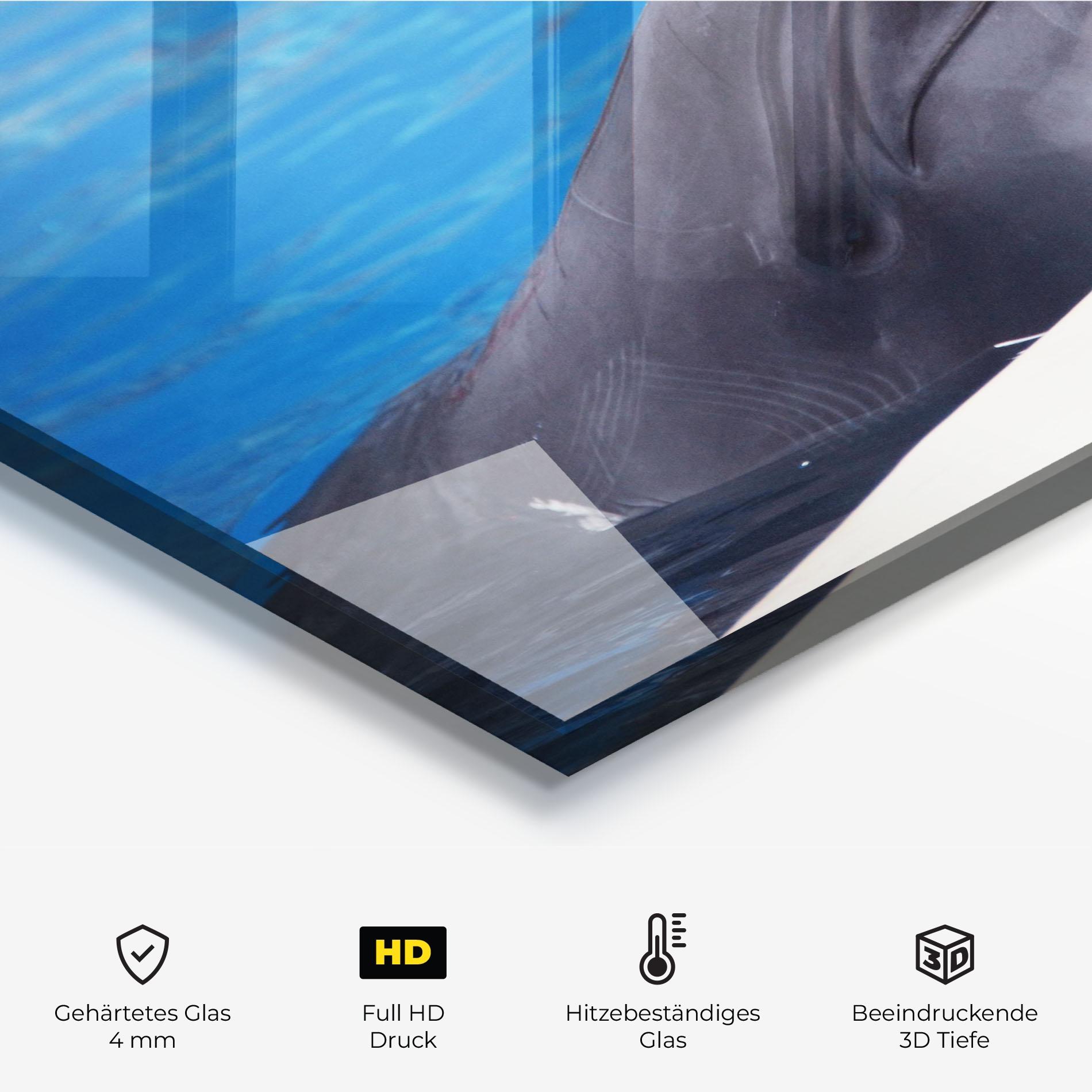 Küchenrückwand Glas Cute Dolphin mockup 2
