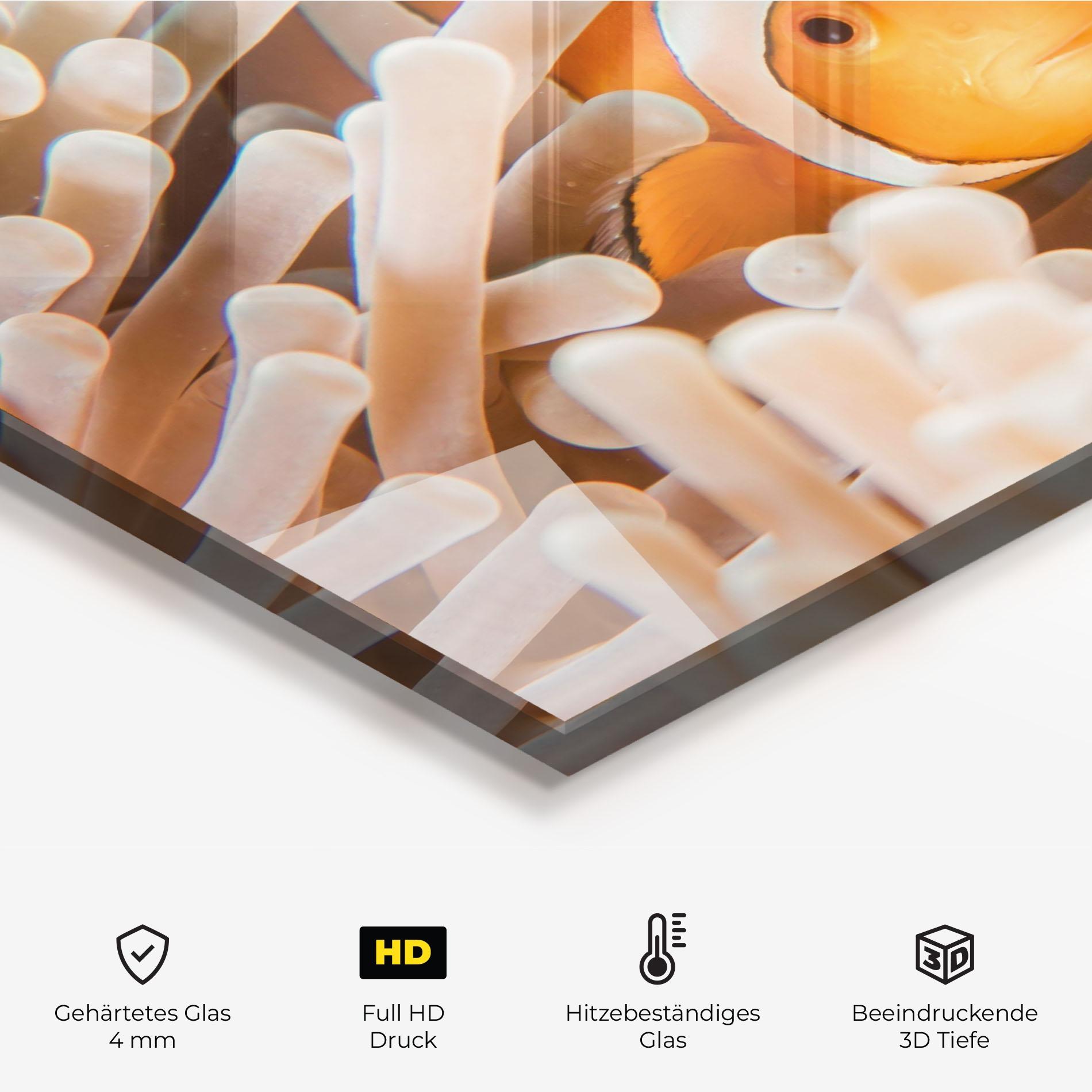 Küchenrückwand Glas Cute Nemo mockup 2