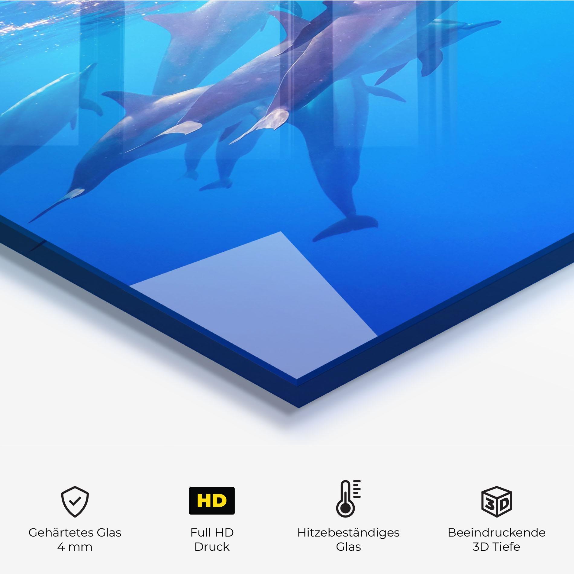 Küchenrückwand Glas Dolphin Family mockup 2