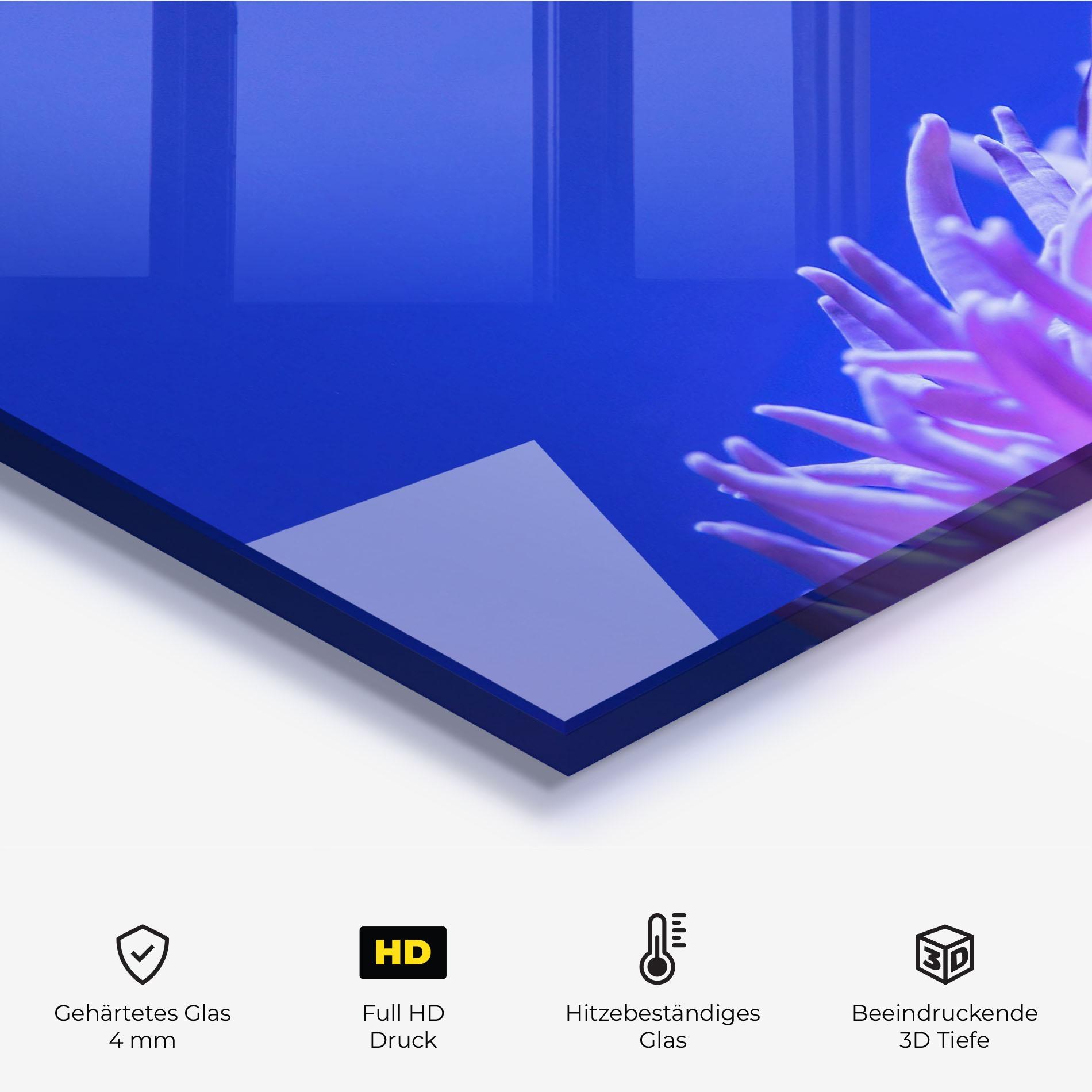 Küchenrückwand Glas Hungry Nemo mockup 2