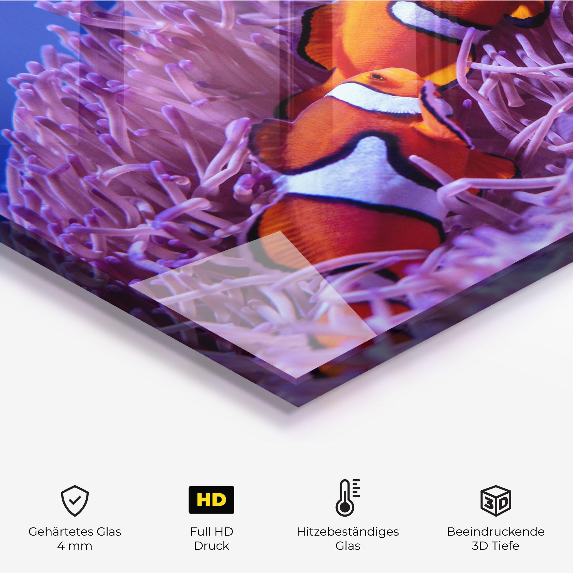 Küchenrückwand Glas Nemo Family mockup 2