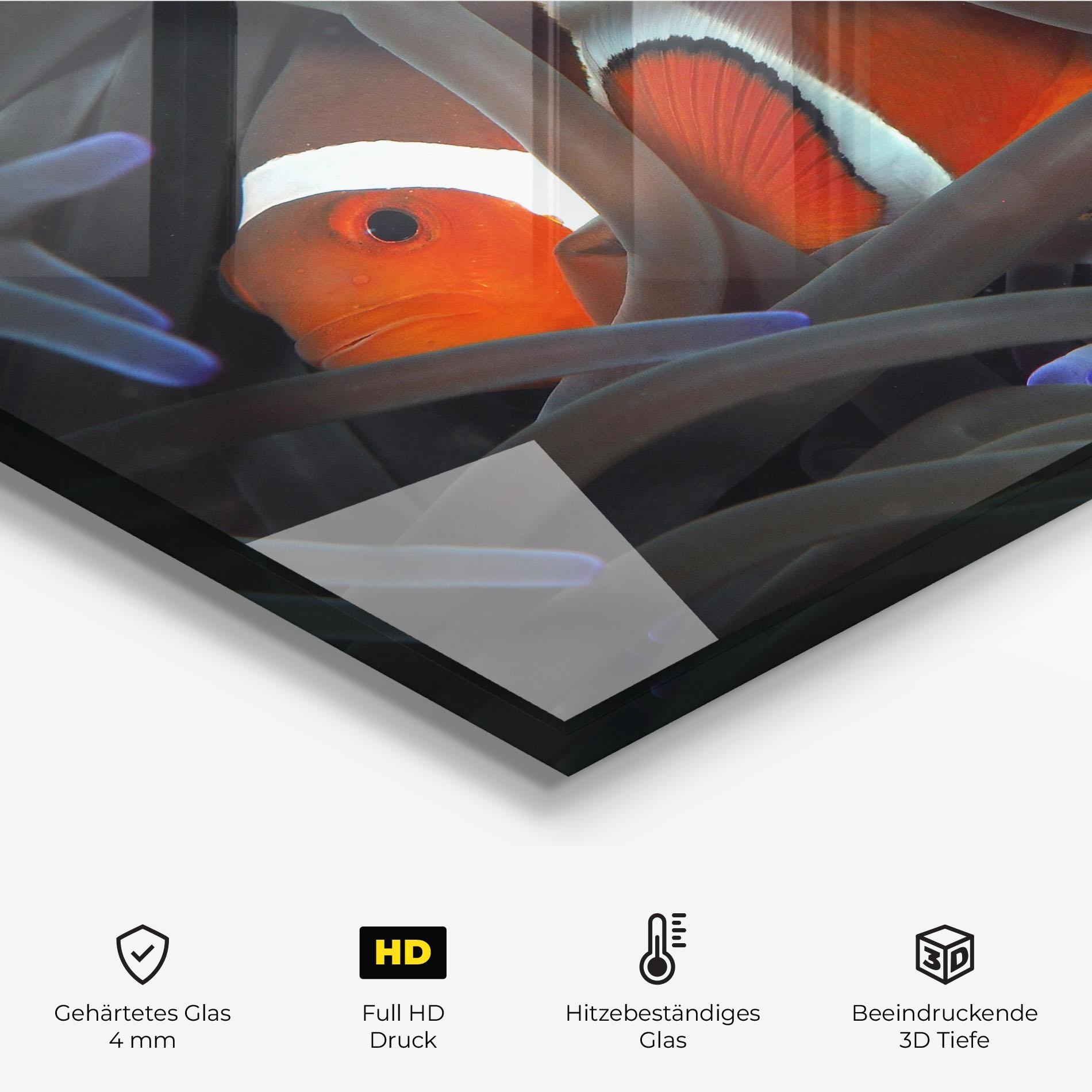 Küchenrückwand Glas Nemo Hiding mockup 2