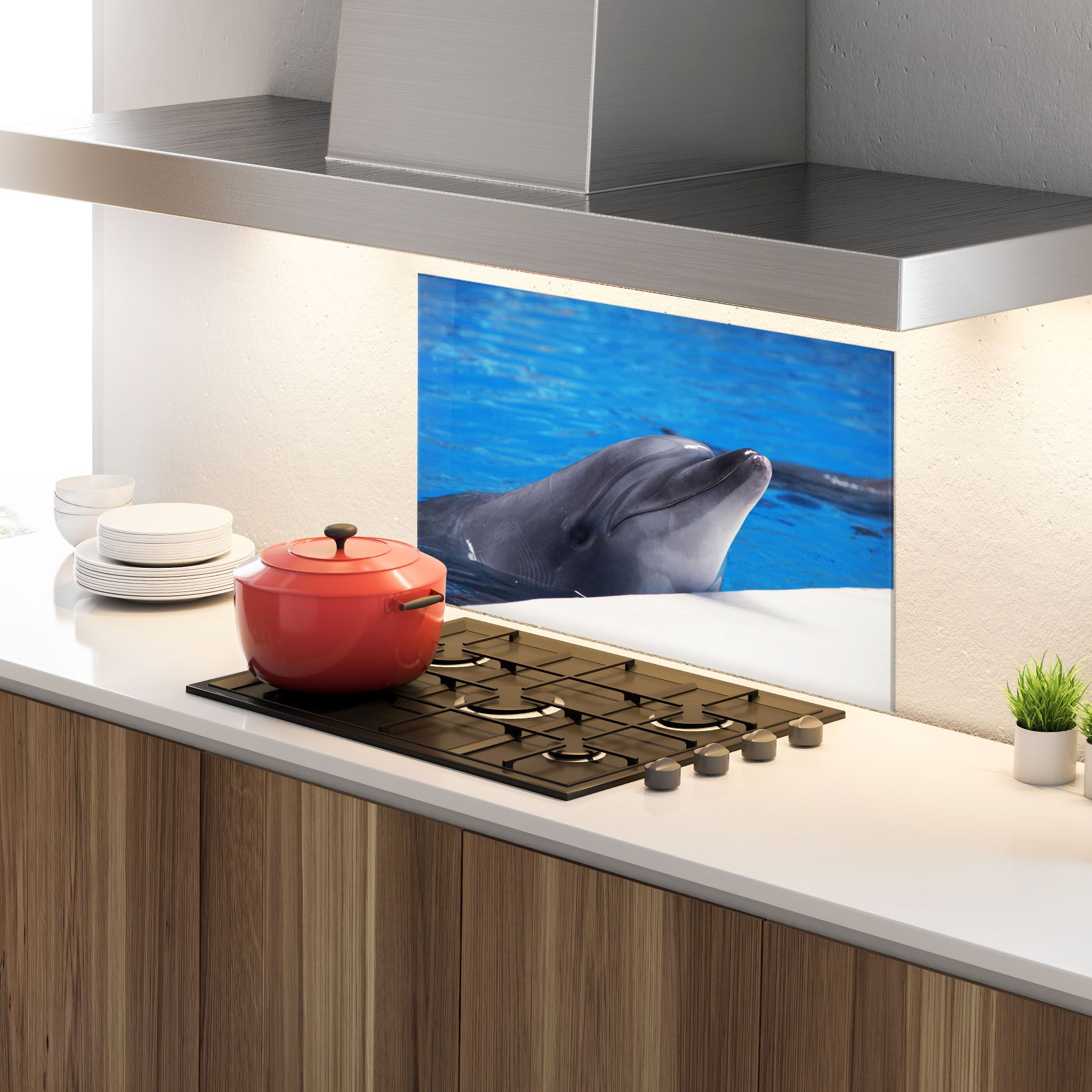 Cute Dolphin mockup 4