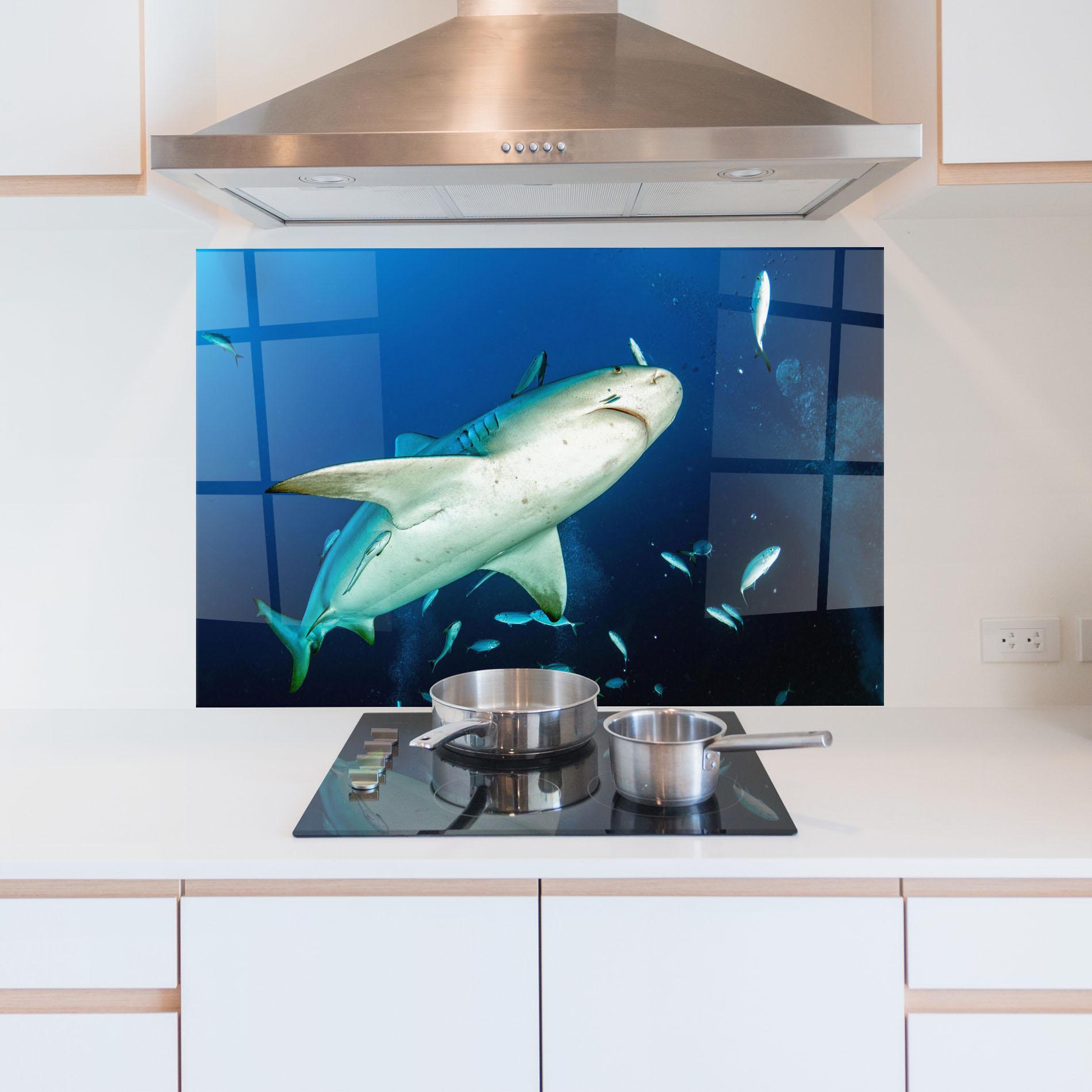 Küchenrückwand Glas Bull Shark mockup 5