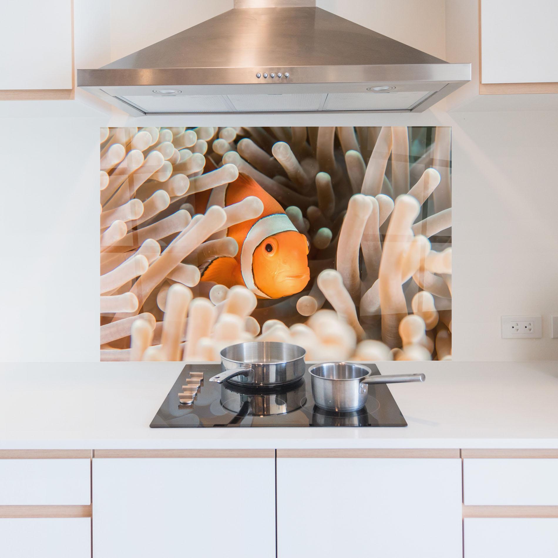 Küchenrückwand Glas Cute Nemo mockup 5