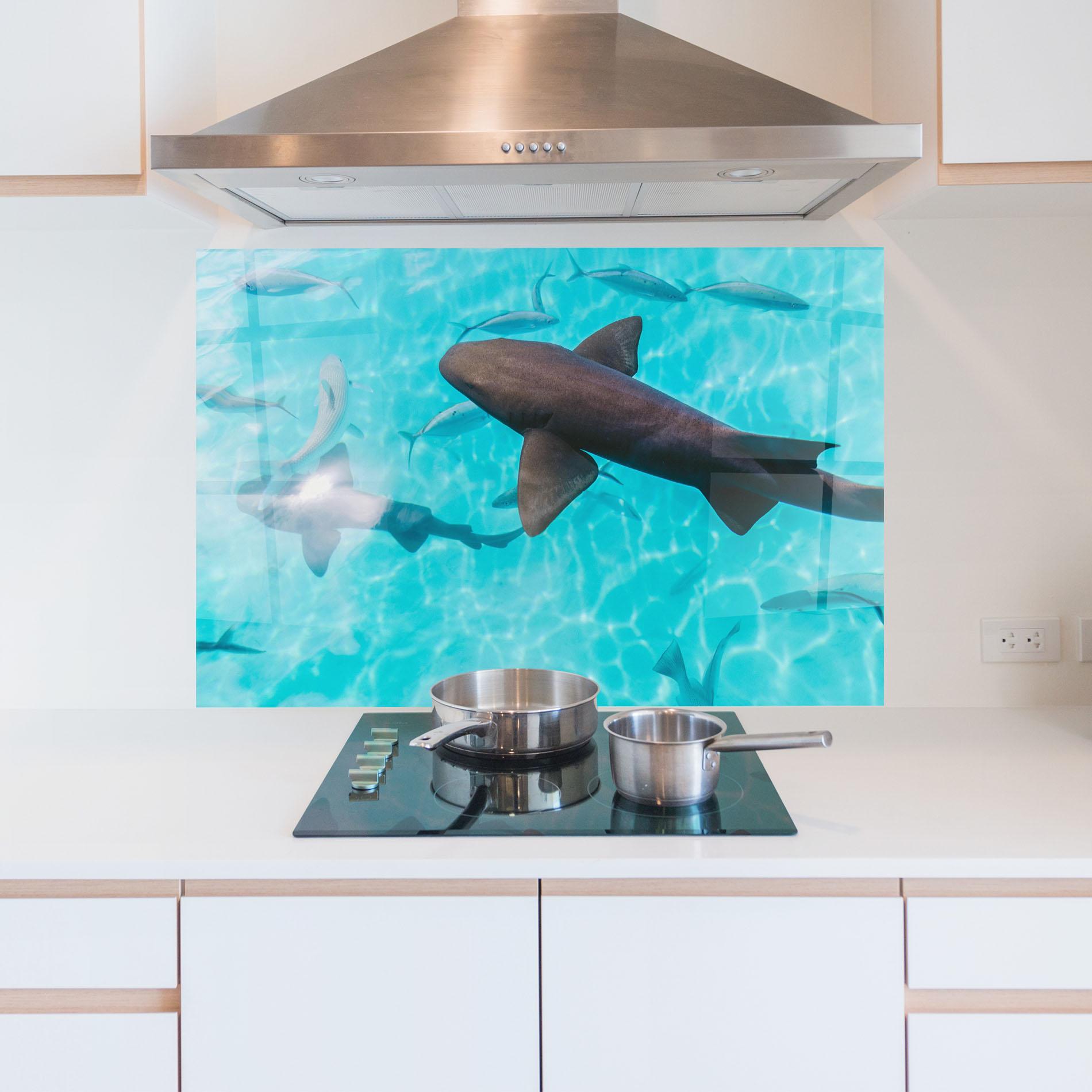 Küchenrückwand Glas Cute Shark mockup 5