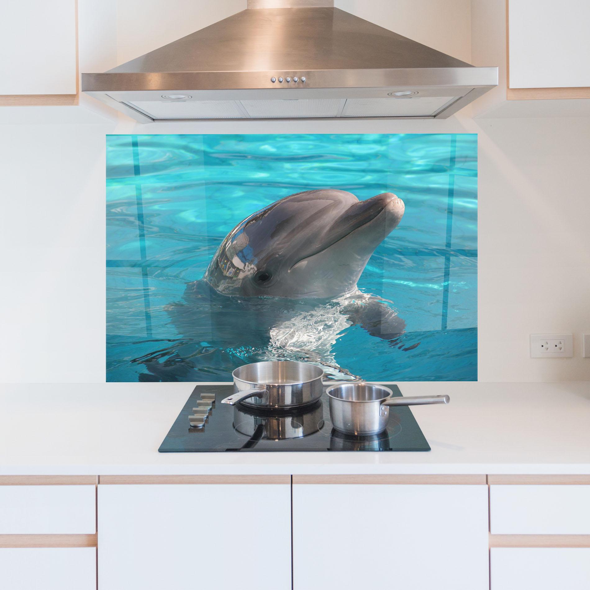 Küchenrückwand Glas Dolphin Poses mockup 5