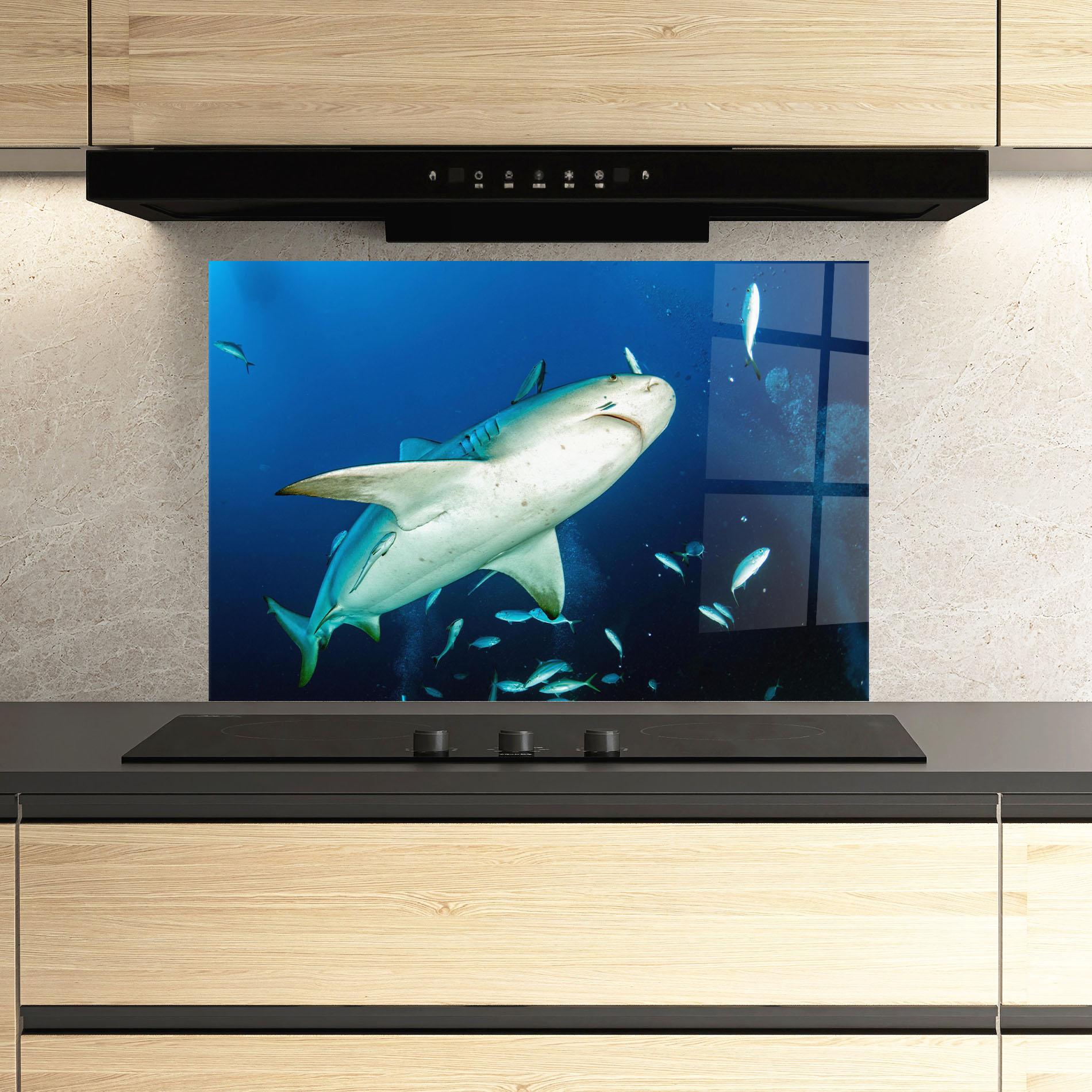 Küchenrückwand Glas Bull Shark mockup 3