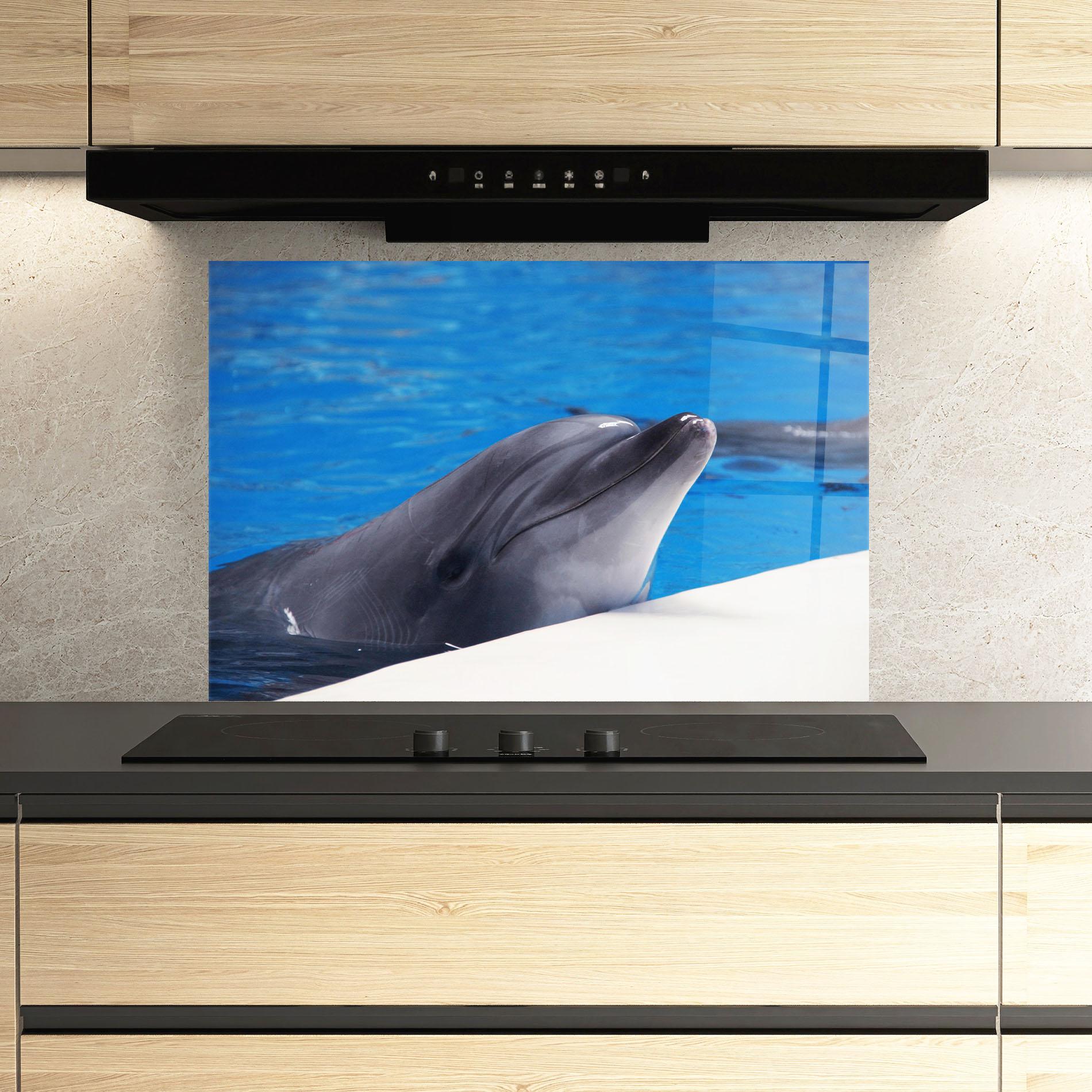 Küchenrückwand Glas Cute Dolphin mockup 3