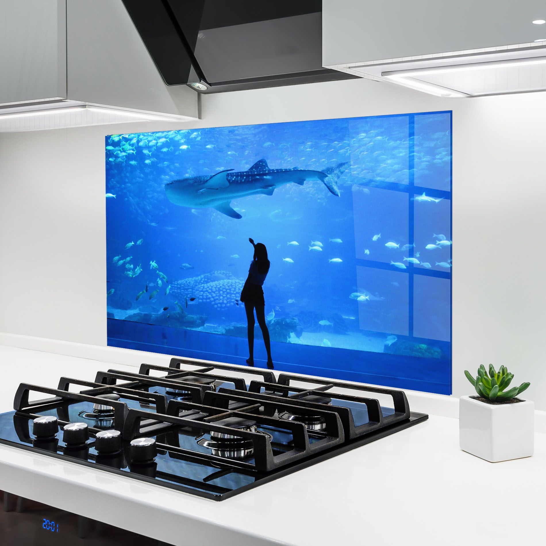 Aquarium Girl mockup 6