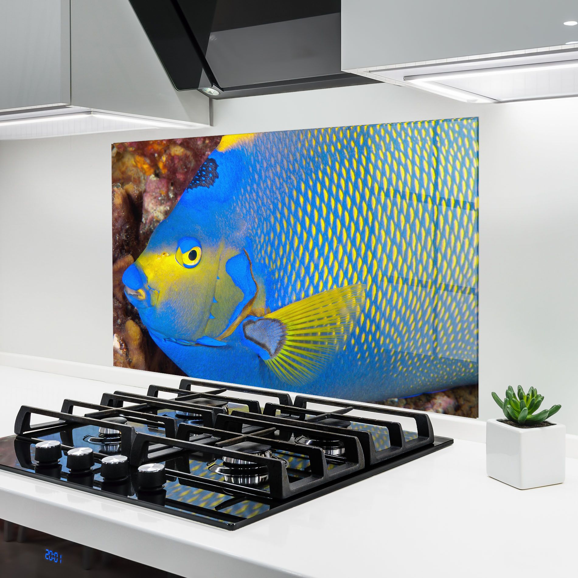 Blue Yellow Fish mockup 6