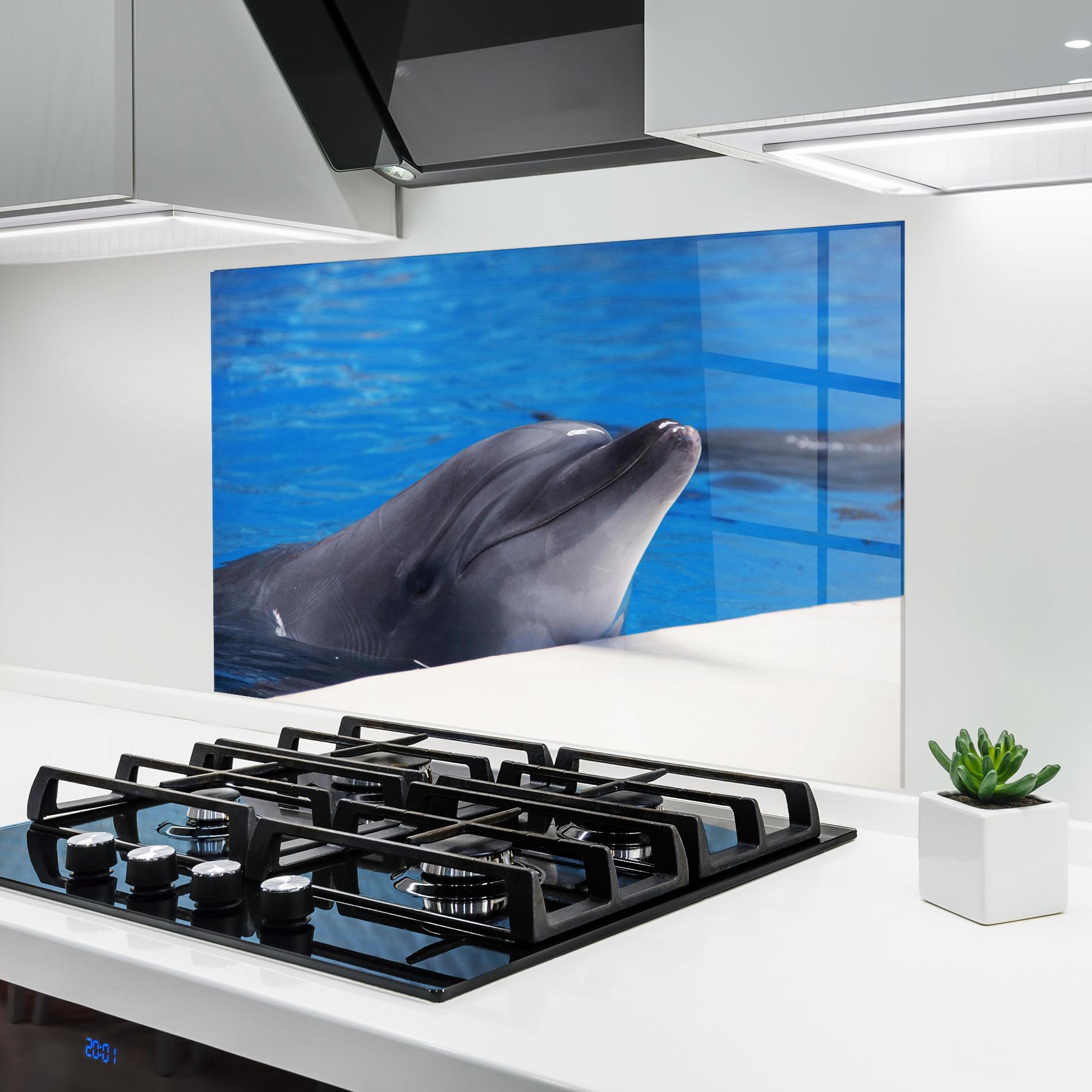 Küchenrückwand Glas Cute Dolphin mockup 6