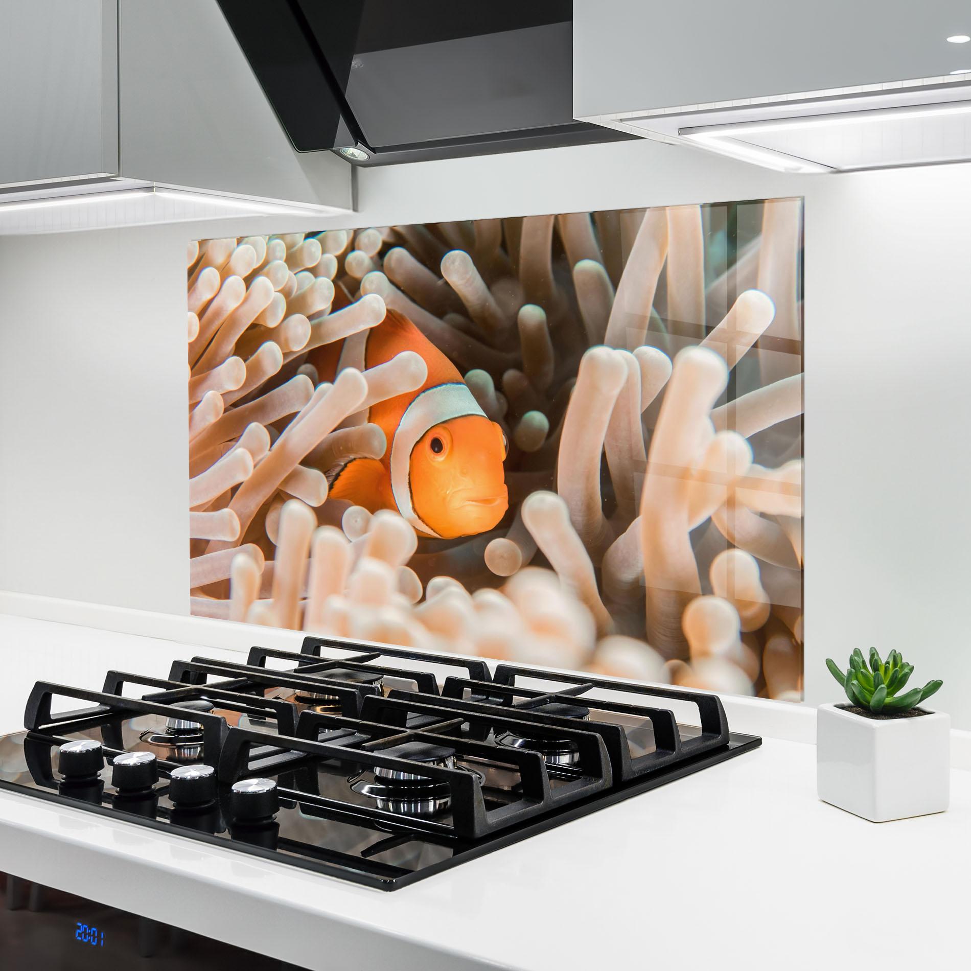 Küchenrückwand Glas Cute Nemo mockup 6