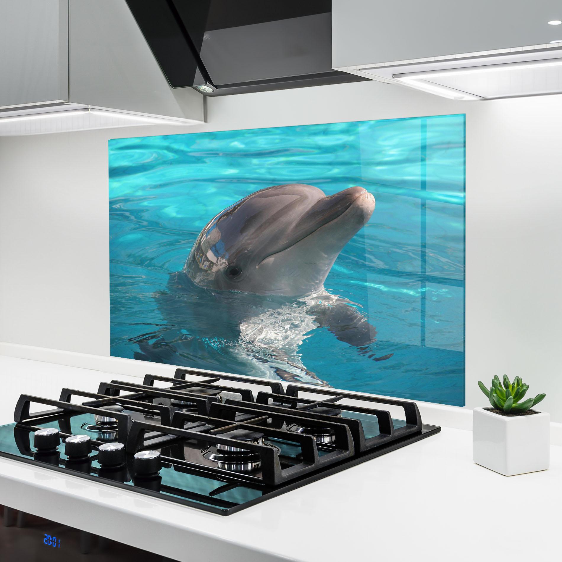 Küchenrückwand Glas Dolphin Poses mockup 6