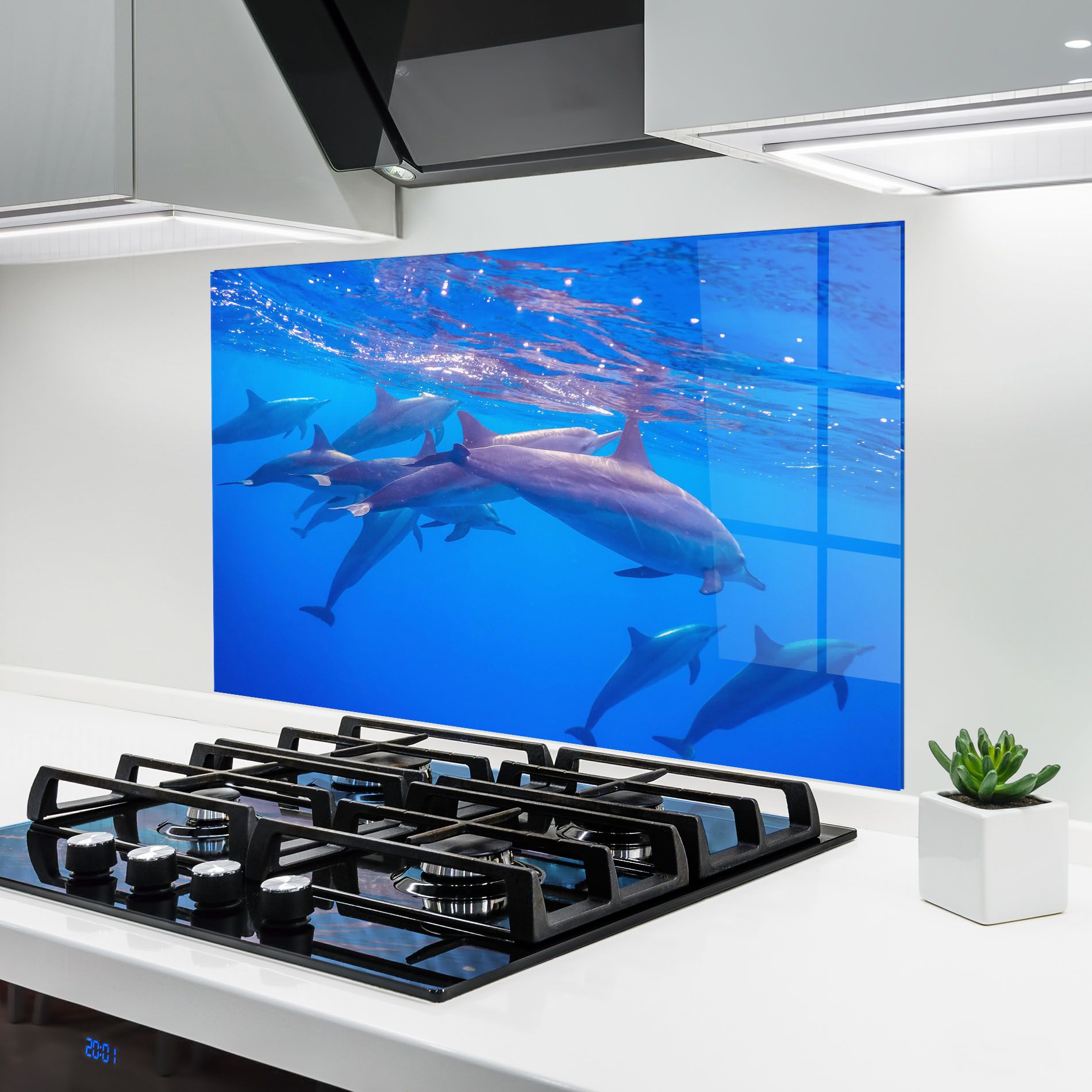 Dolphin Family mockup 6