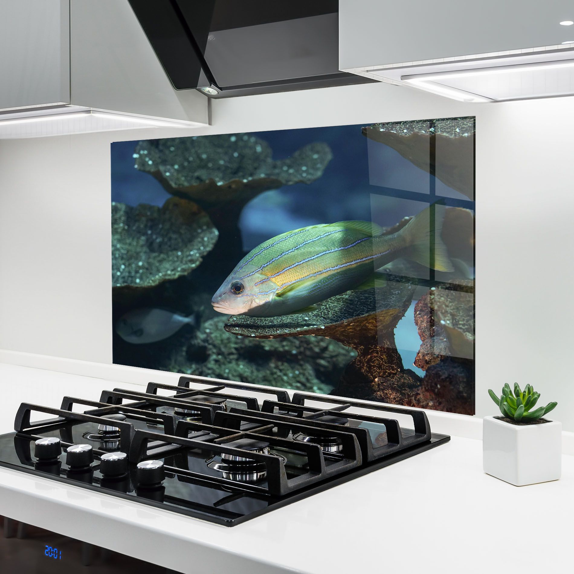 Green Gold Fish mockup 6