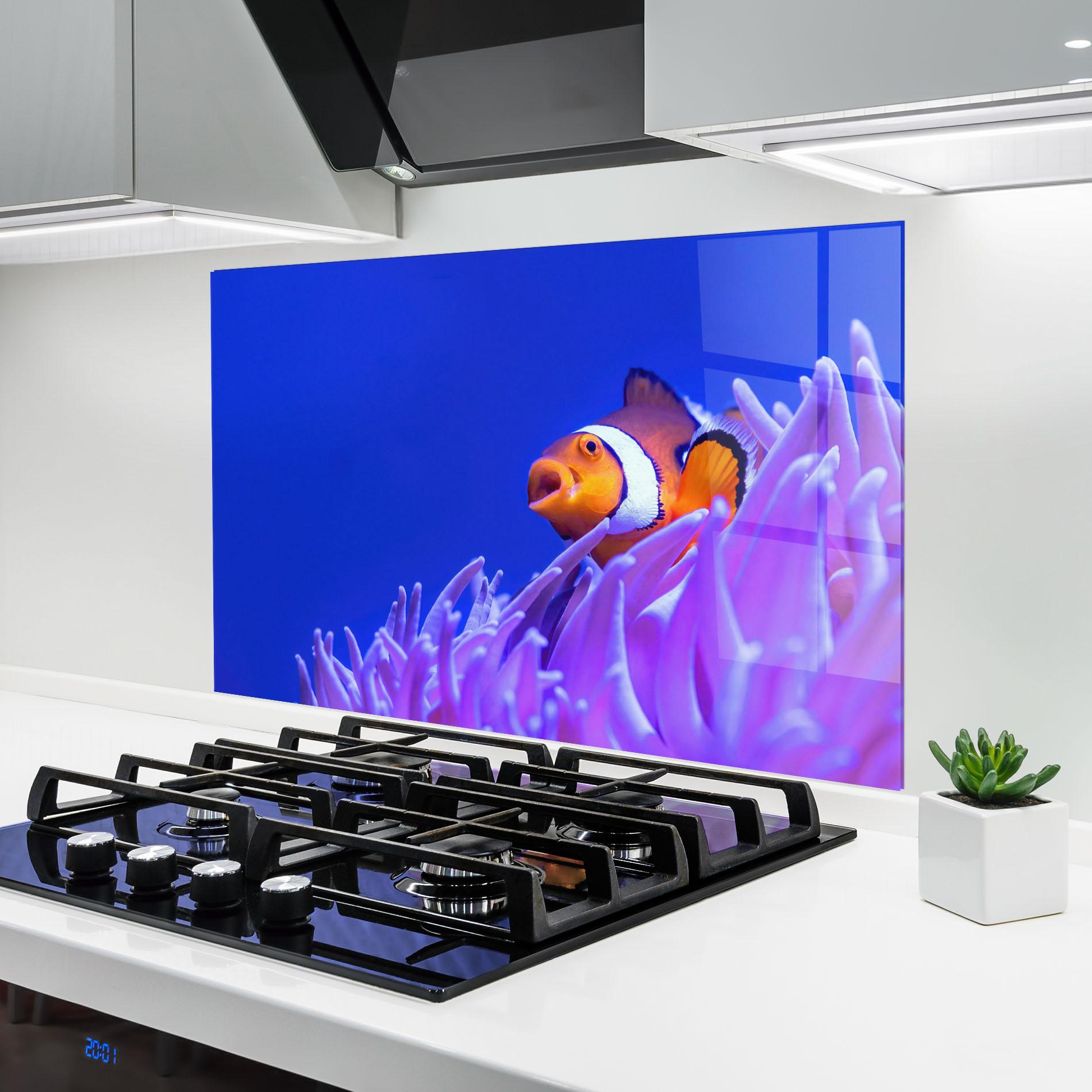 Küchenrückwand Glas Hungry Nemo mockup 6