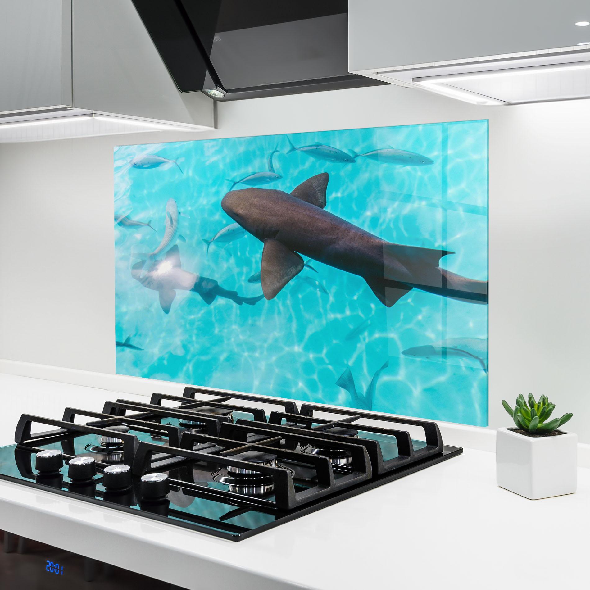 Küchenrückwand Glas Pretty Shark mockup 6