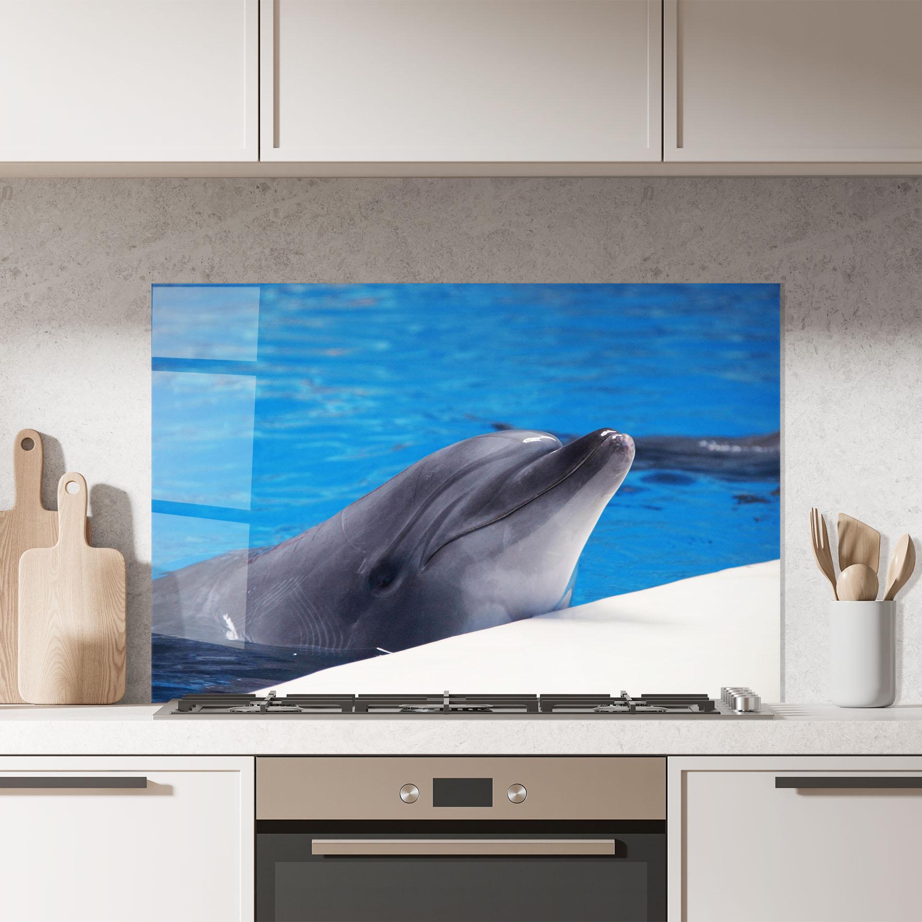 Küchenrückwand Glas Cute Dolphin mockup 7