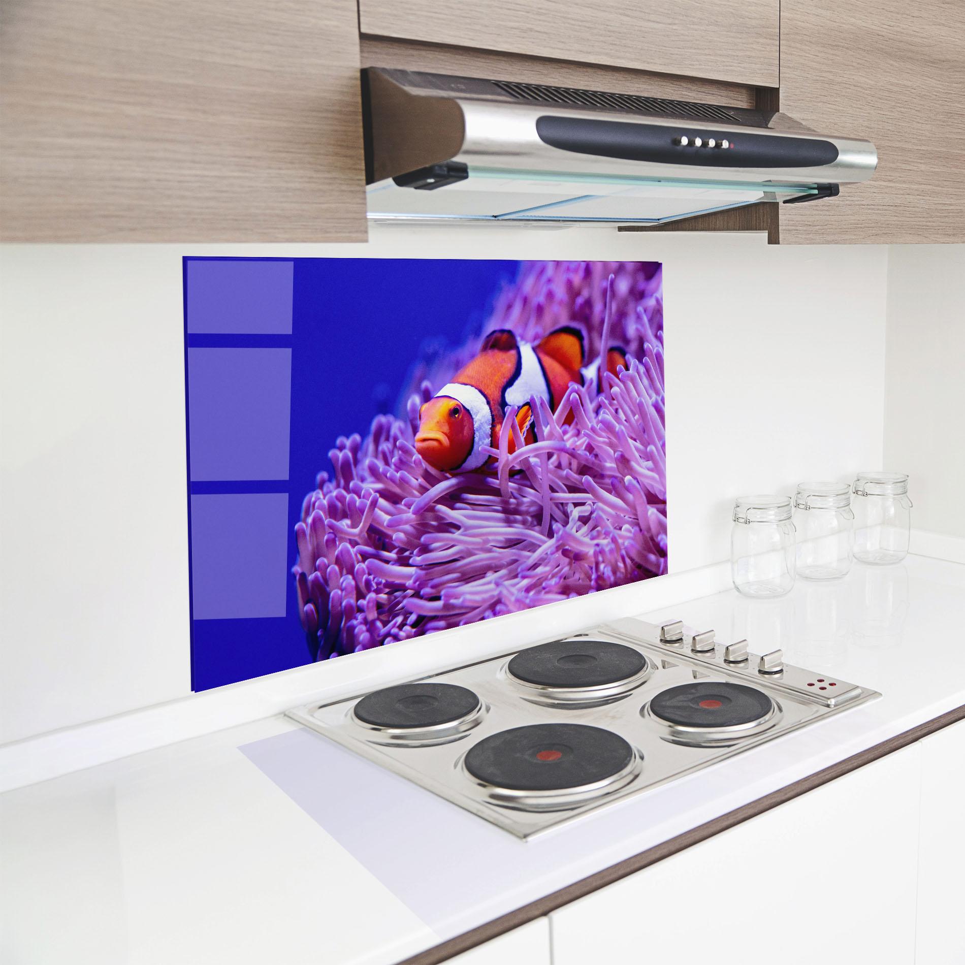 Küchenrückwand Glas Angry Nemo mockup 8