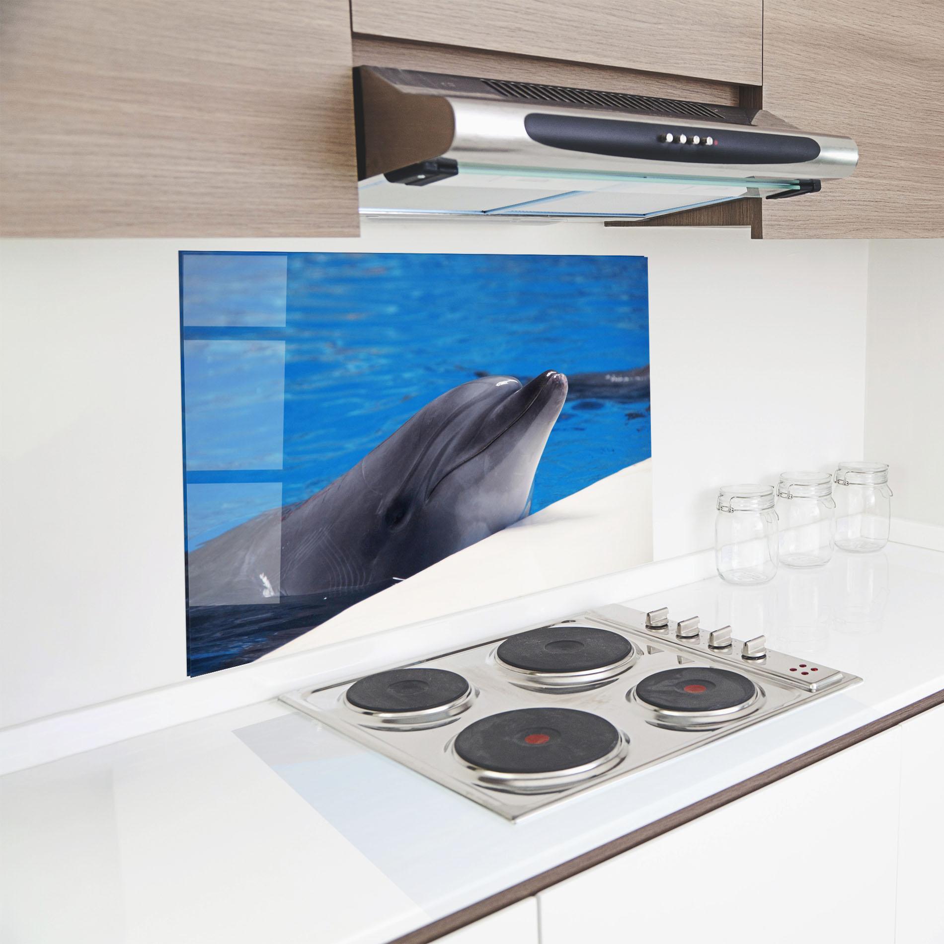 Küchenrückwand Glas Cute Dolphin mockup 8
