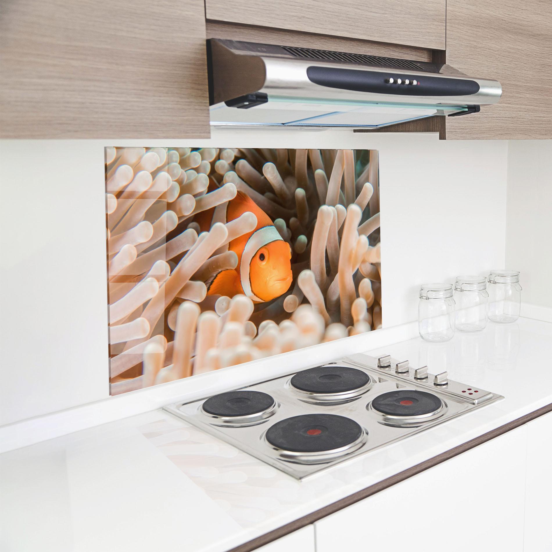 Küchenrückwand Glas Cute Nemo mockup 8