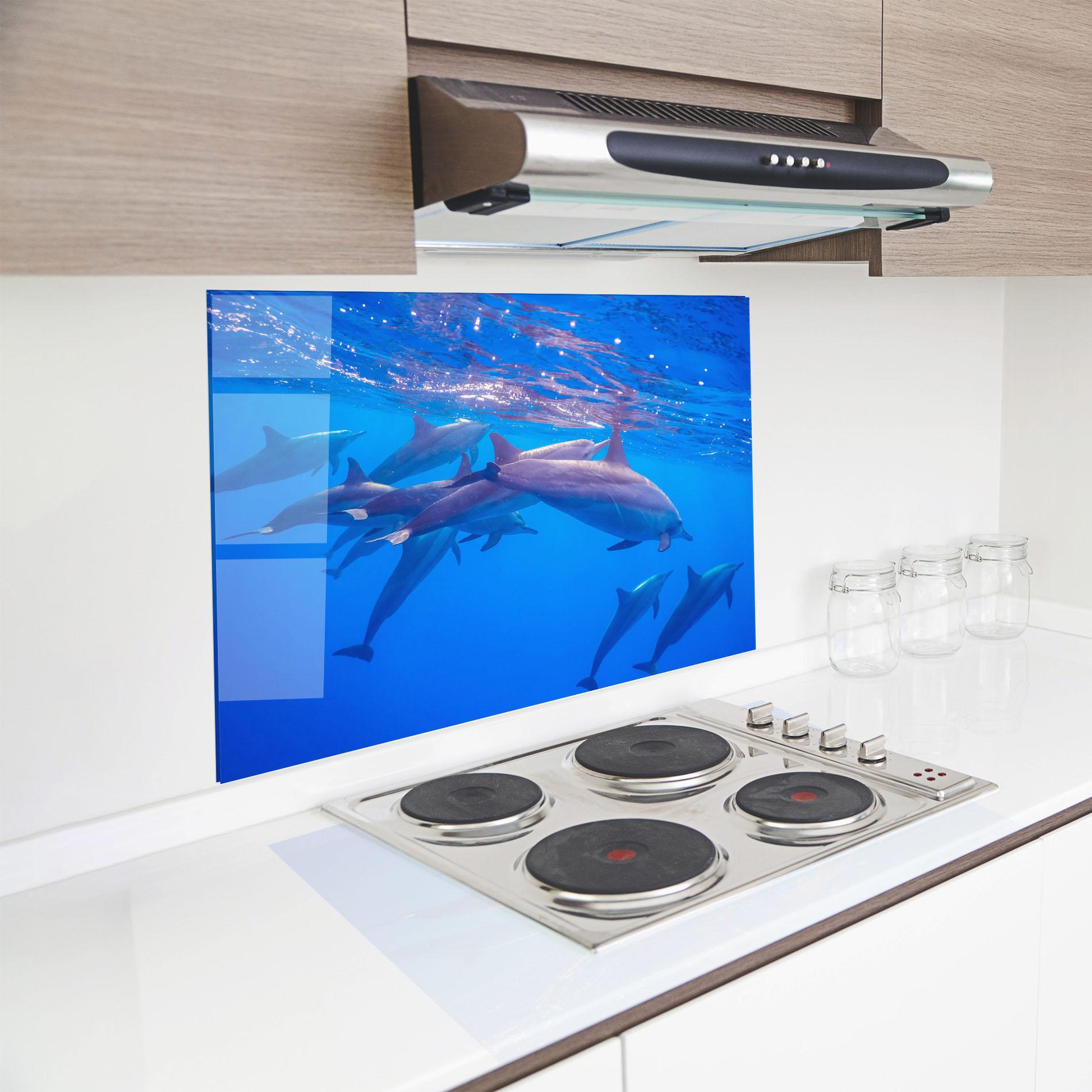 Küchenrückwand Glas Dolphin Family mockup 8