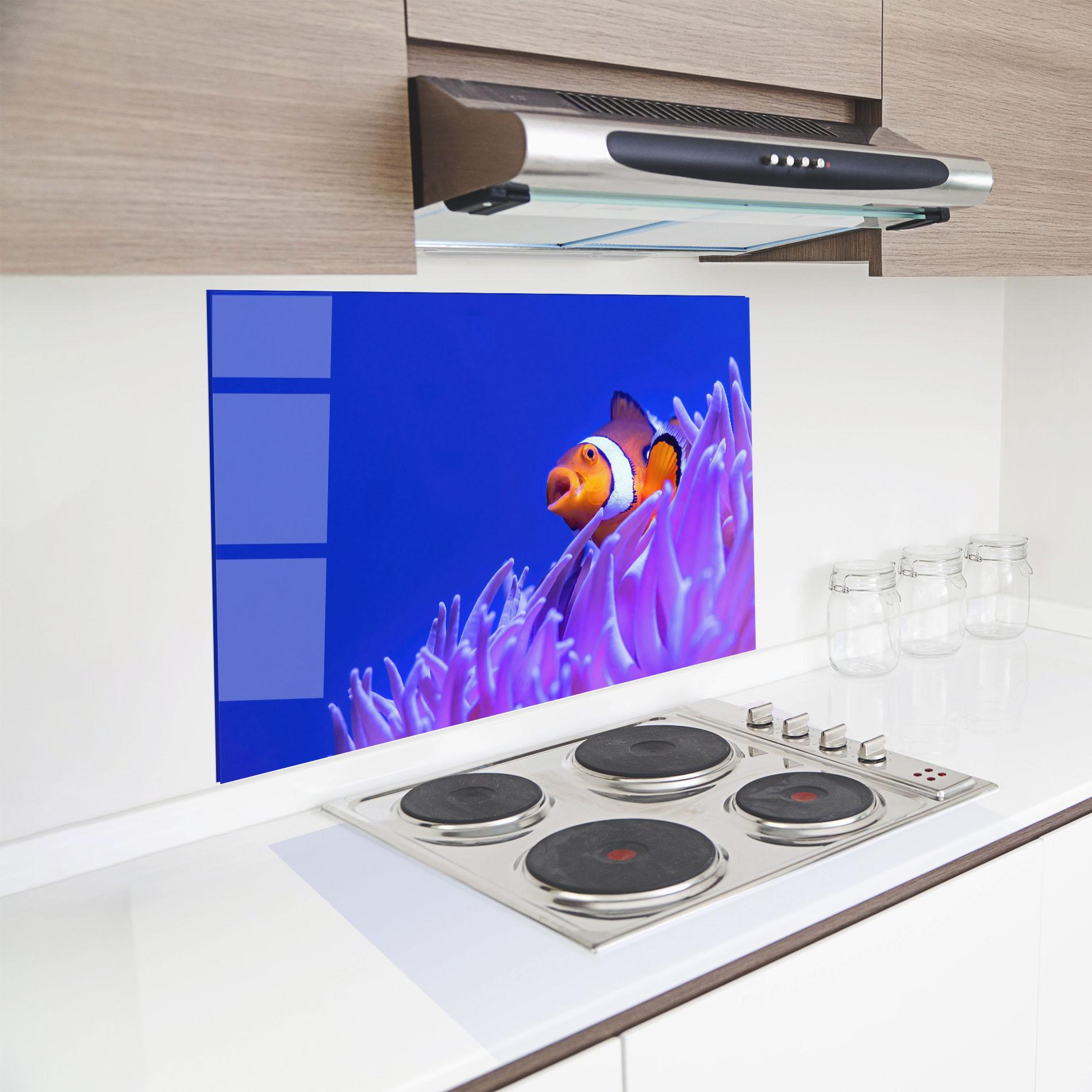 Küchenrückwand Glas Hungry Nemo mockup 8