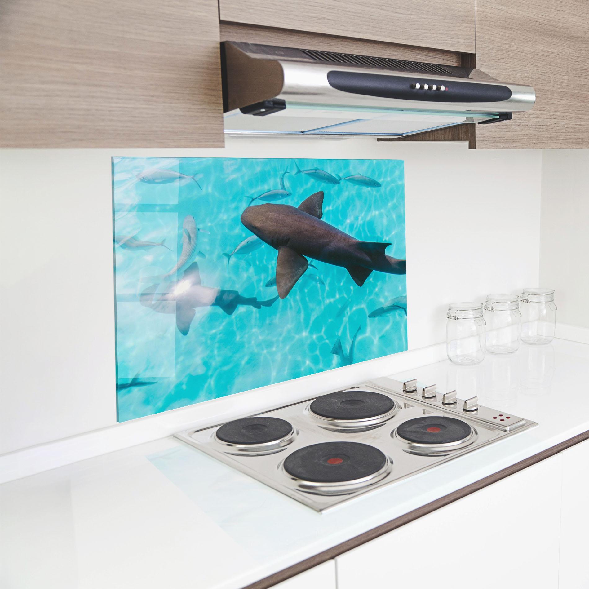 Küchenrückwand Glas Pretty Shark mockup 8