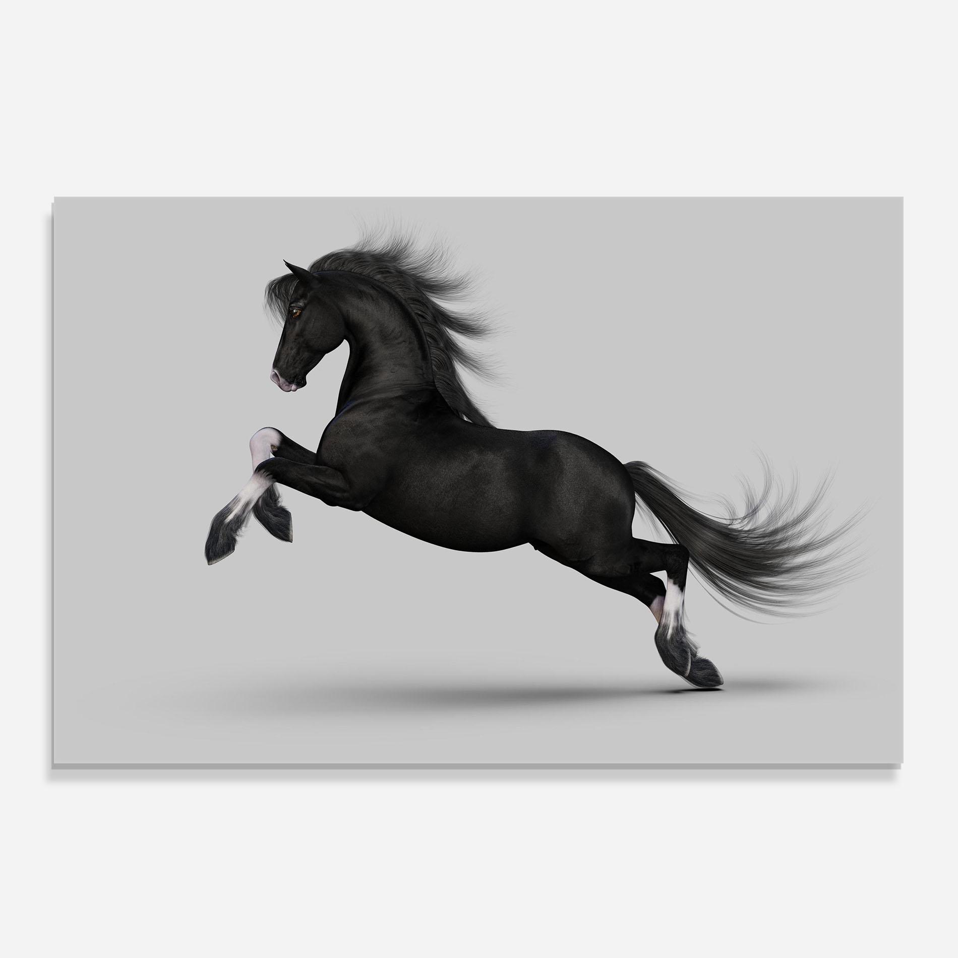 Küchenrückwand Glas Black Horse Galloping mockup 0