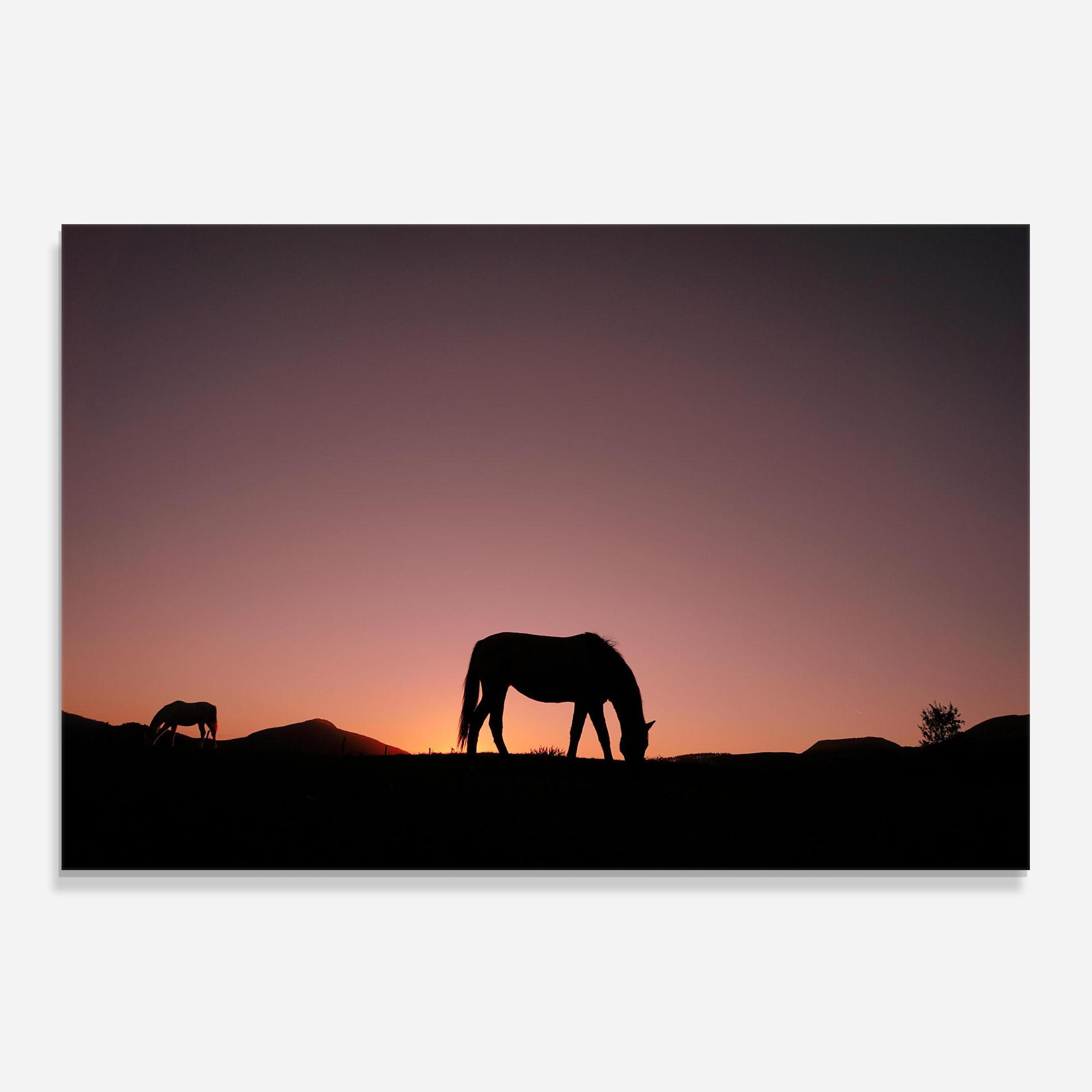 Küchenrückwand Glas Horse Silhouette mockup 0