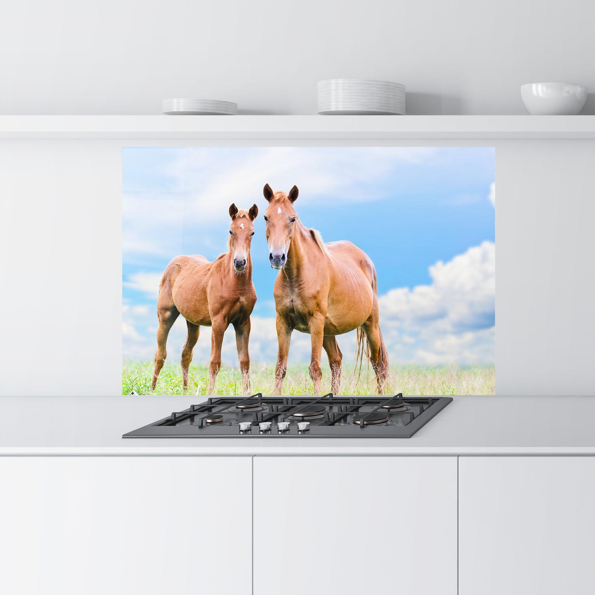 Küchenrückwand Glas Brown Horse Looking mockup 9