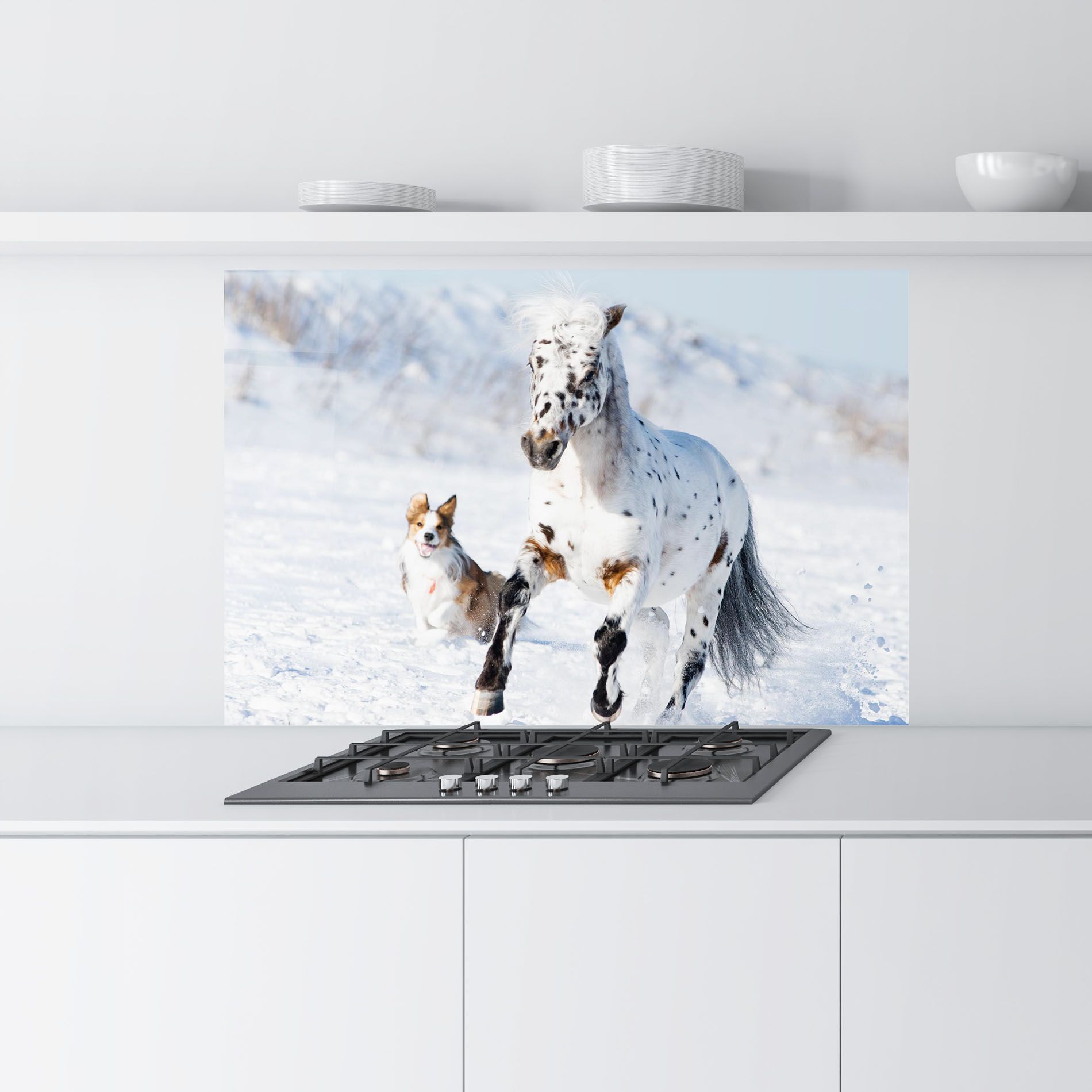 Dog And Horse Running mockup 9